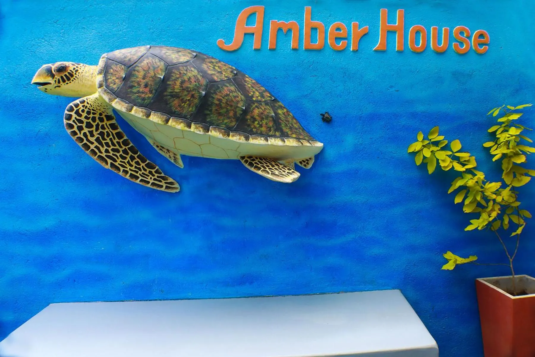 Logo/Certificate/Sign in Amber House Lanka