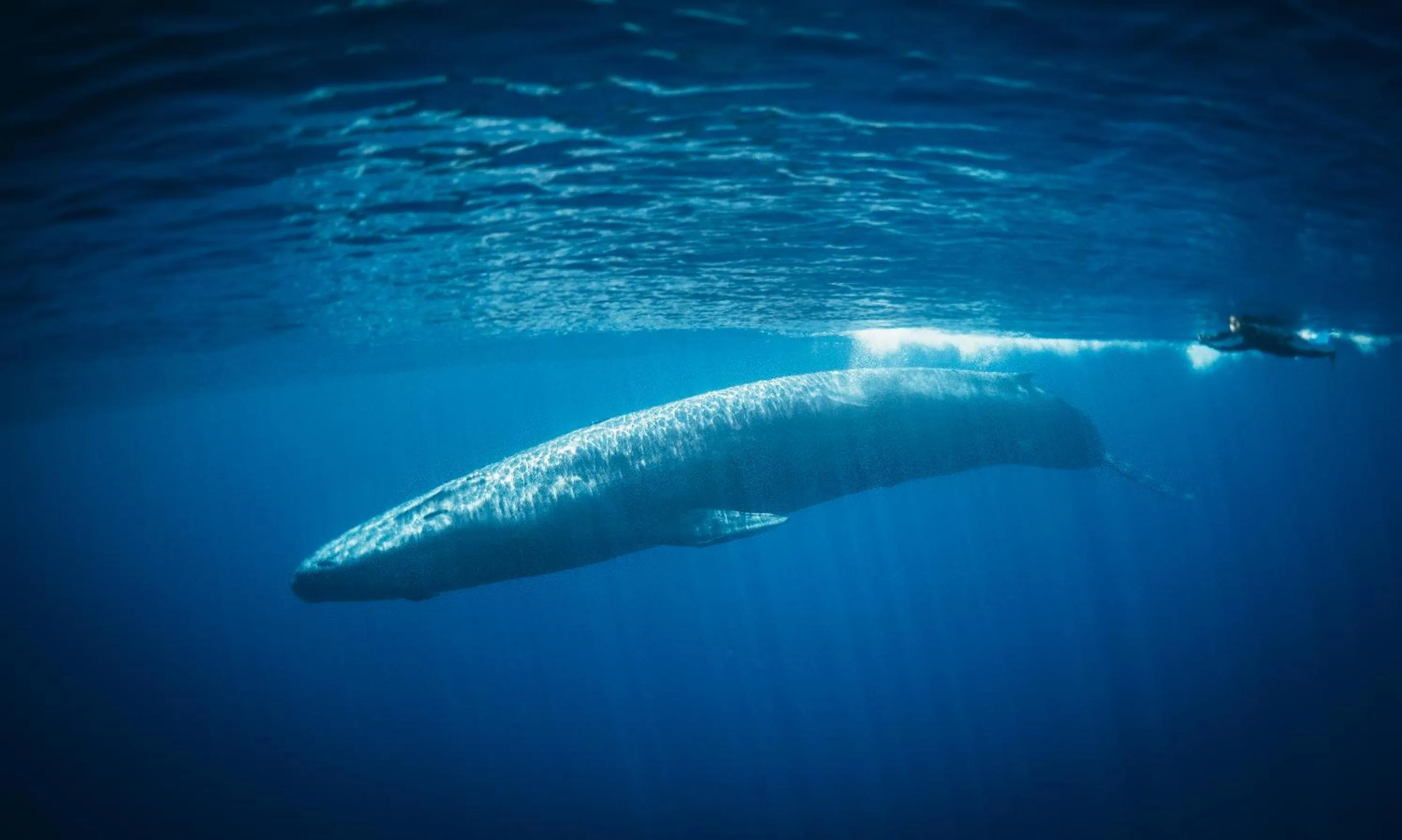 Off site in Amber House Lanka