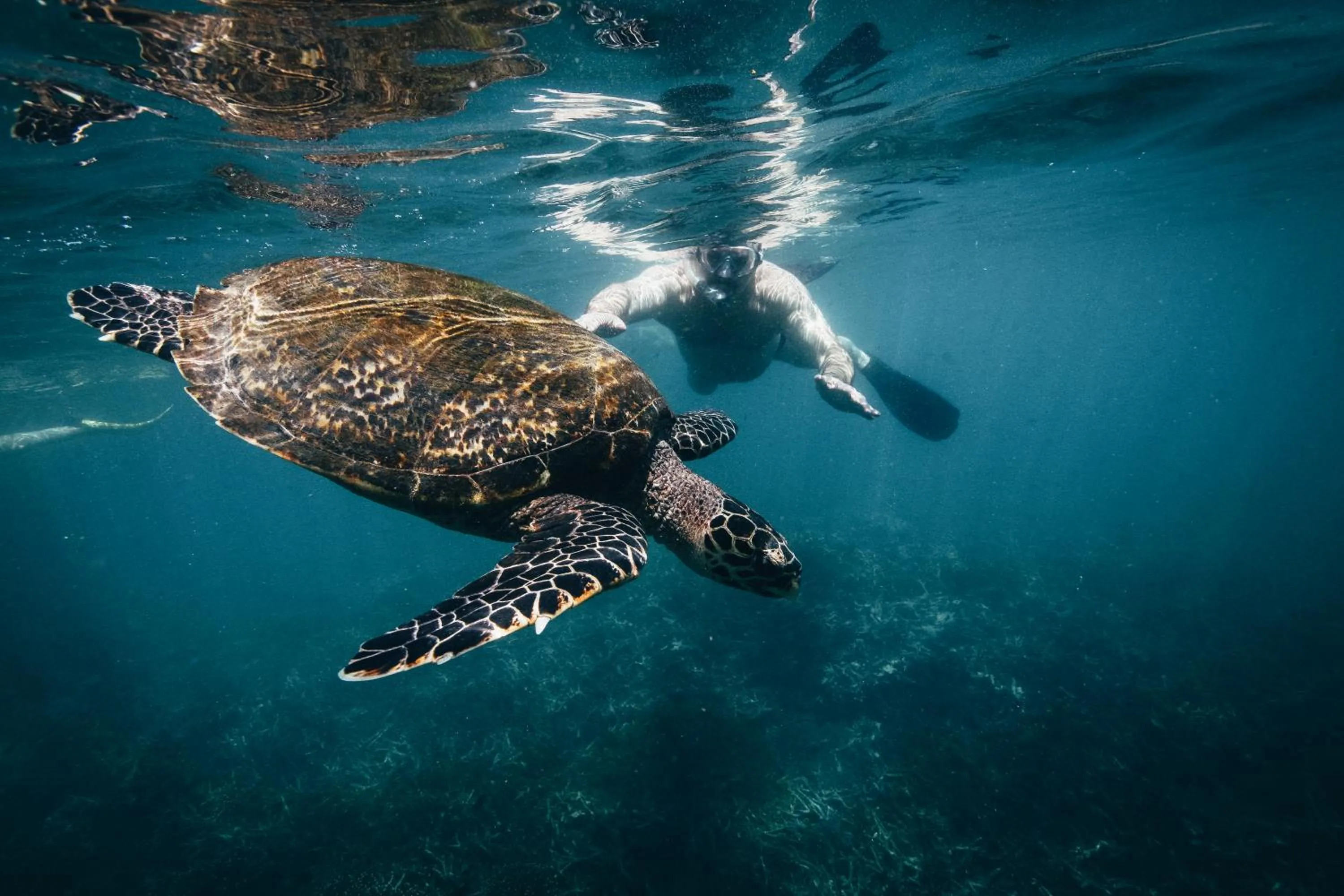 Off site in Amber House Lanka