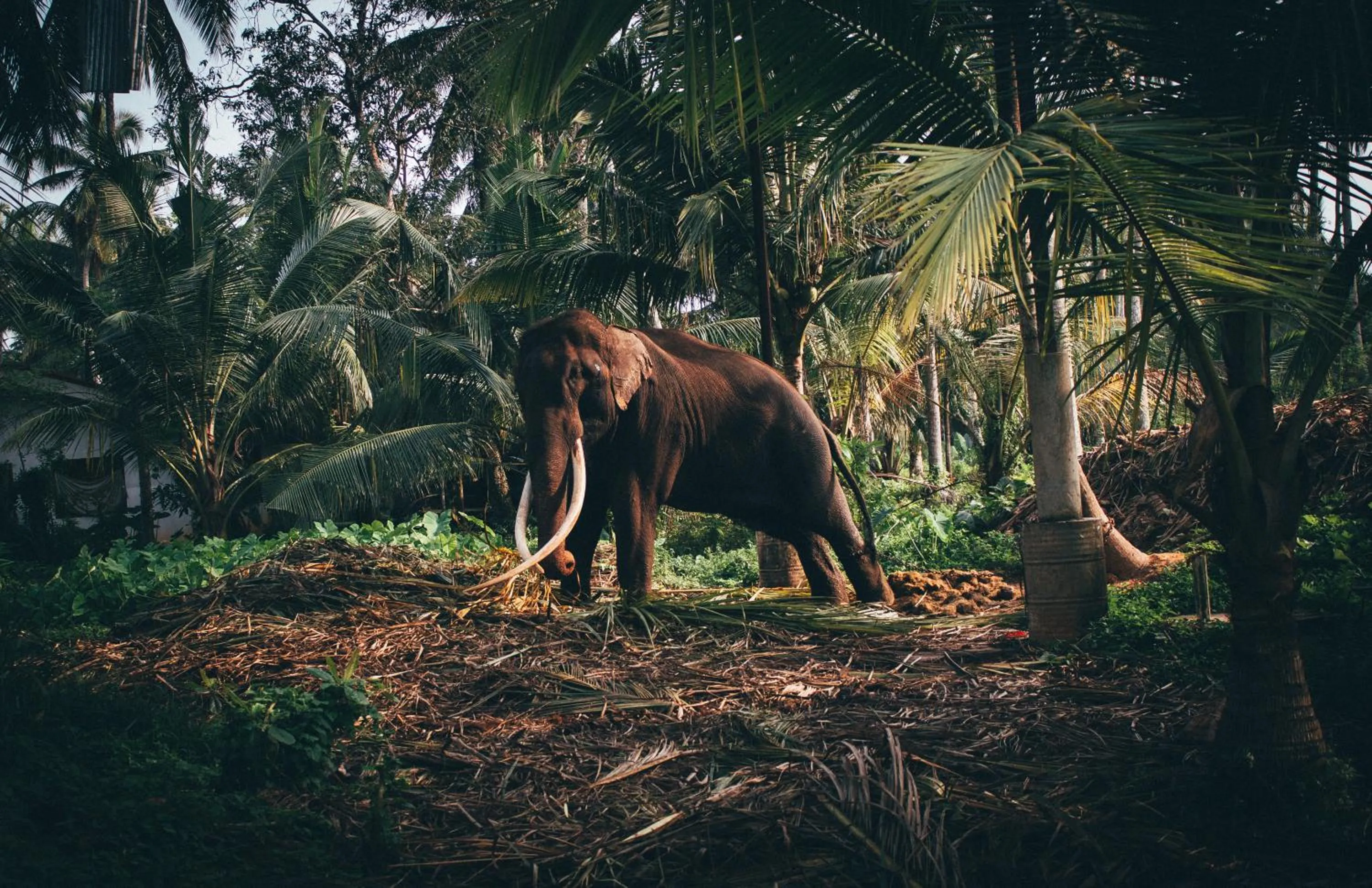 Nearby landmark in Amber House Lanka