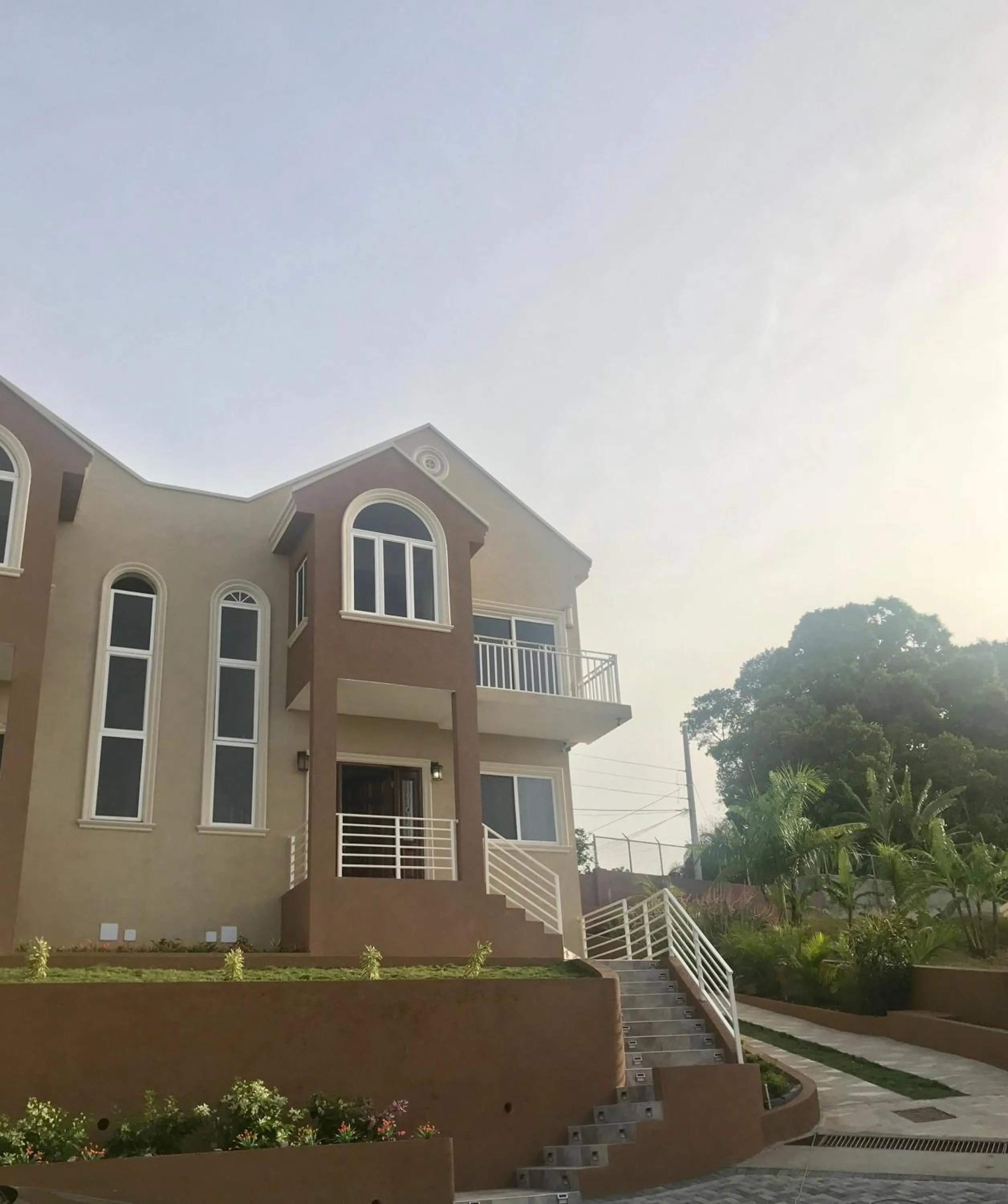 Garden in Tropical Luxury Dreams