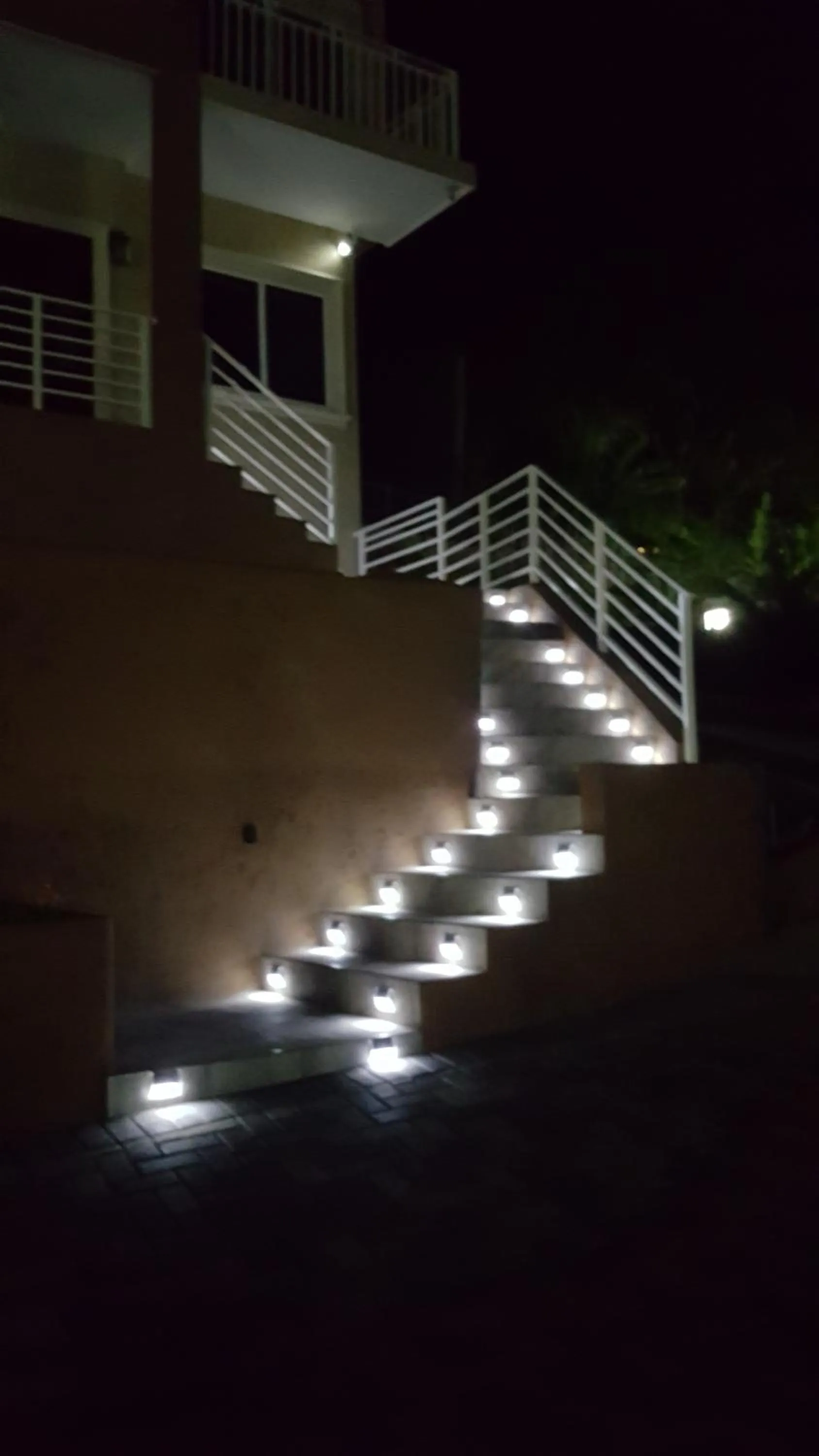 Tropical Luxury Dreams