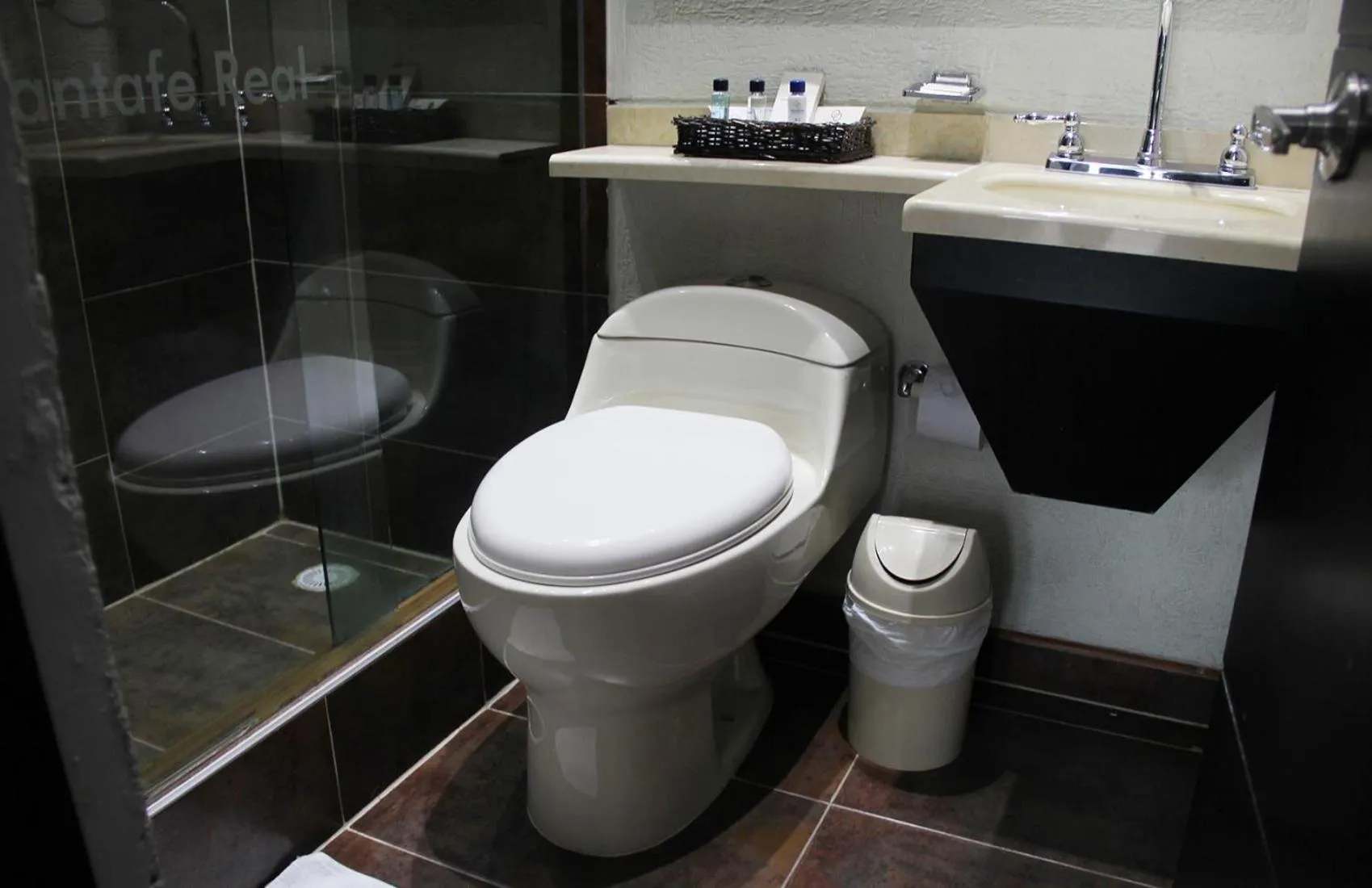 Toilet in Hotel Santafe Real
