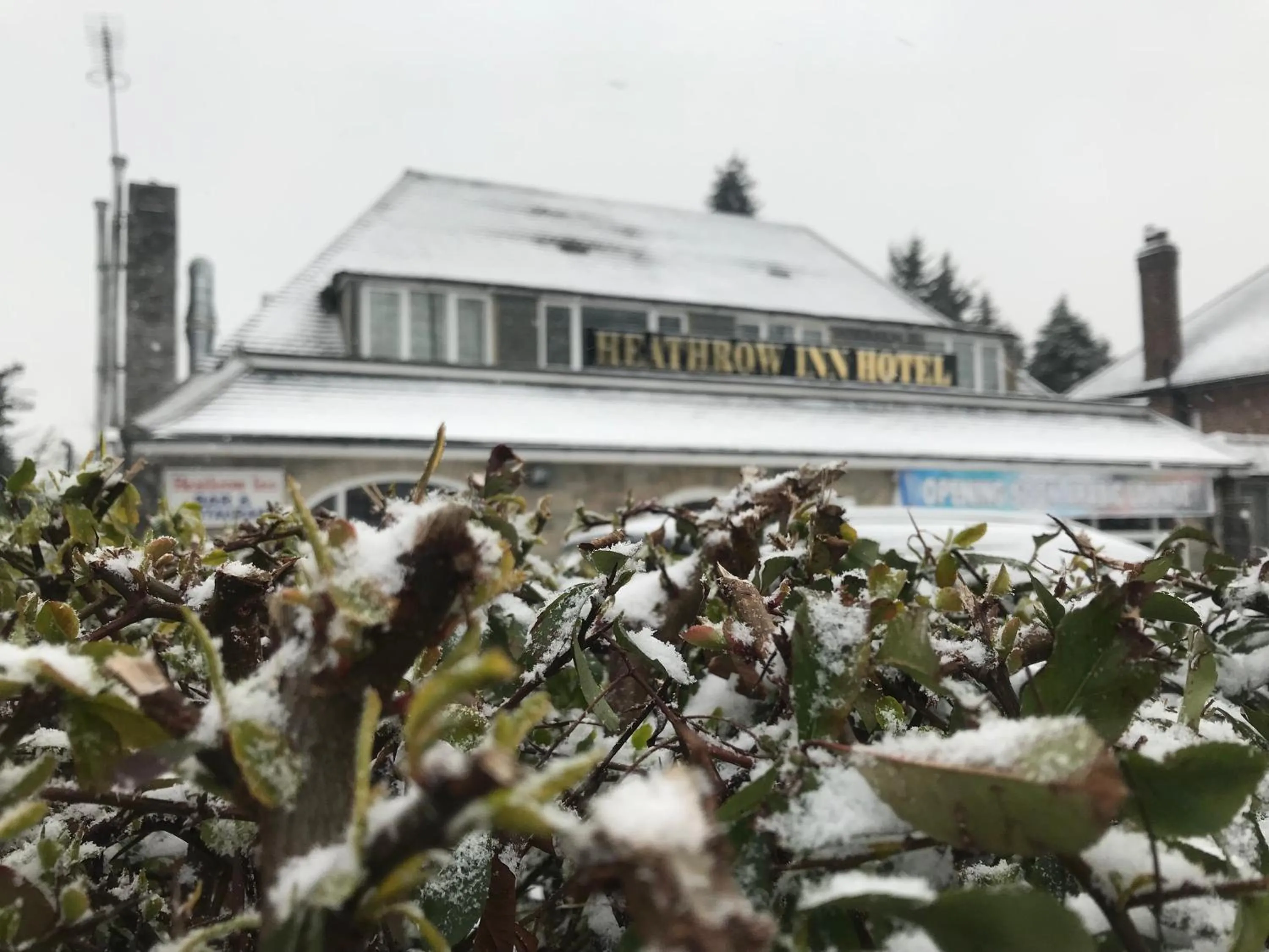 Breakfast in Heathrow Inn Hotel