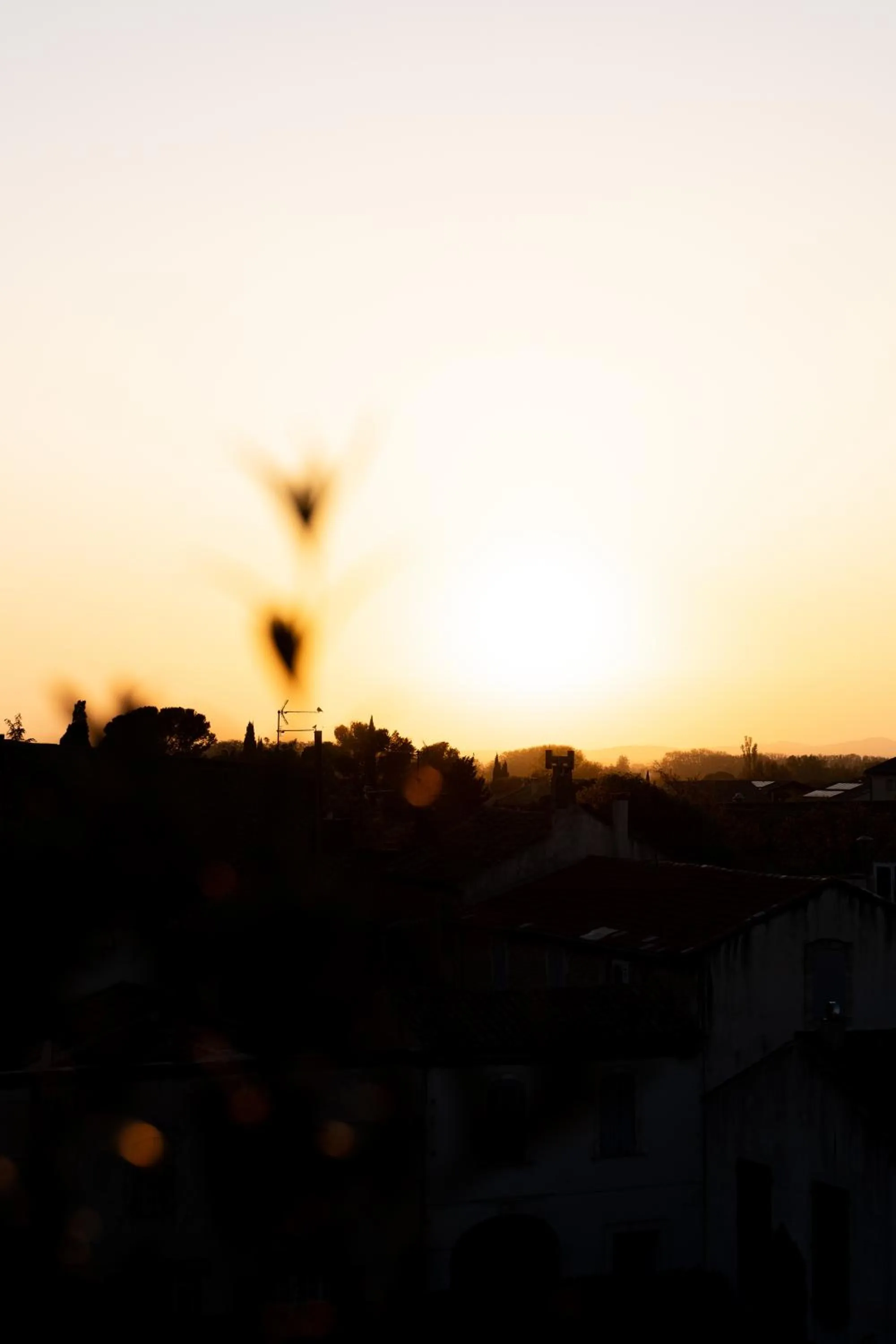 Hôtel Le Saint Remy & Spa