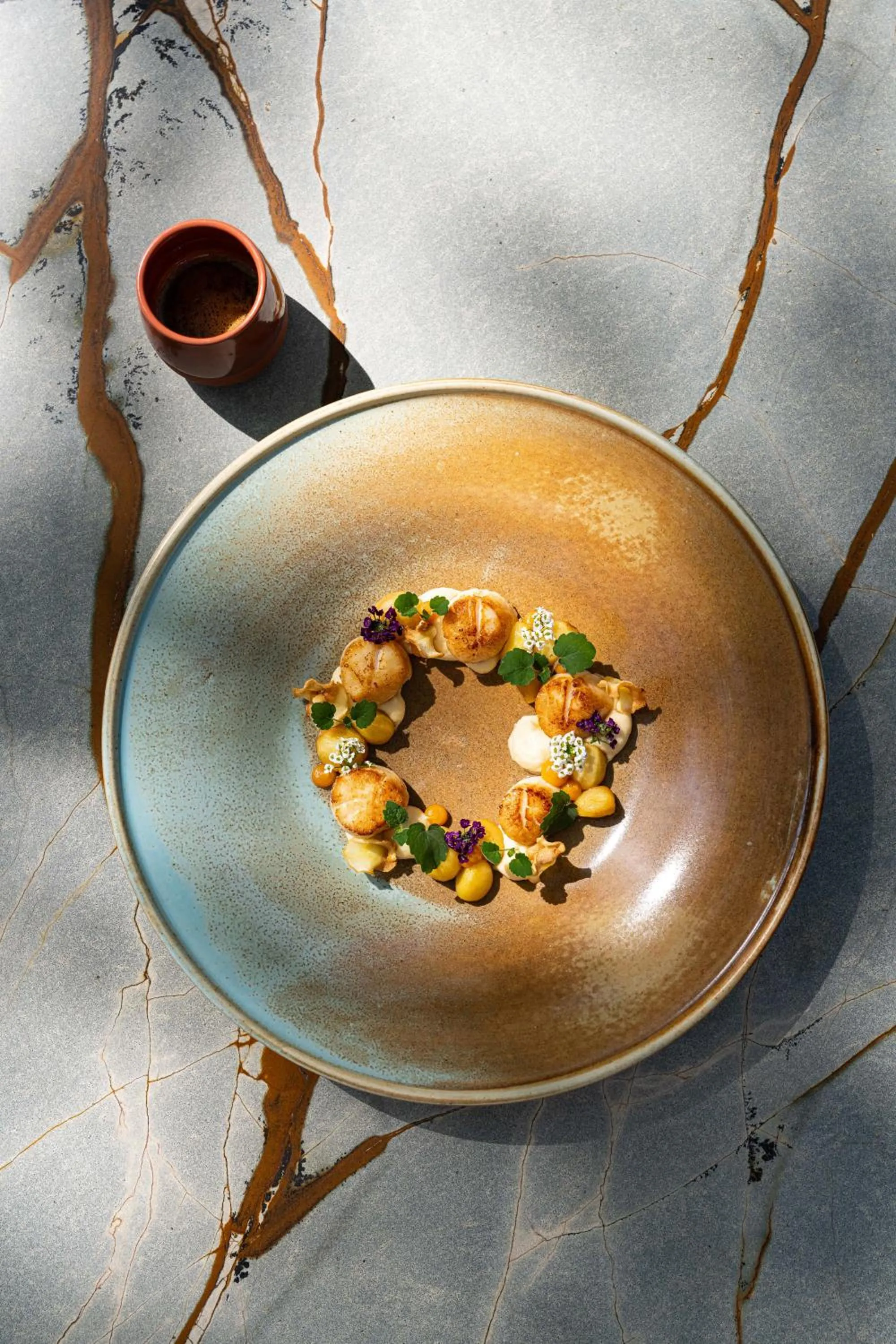 Hôtel Le Saint Remy & Spa