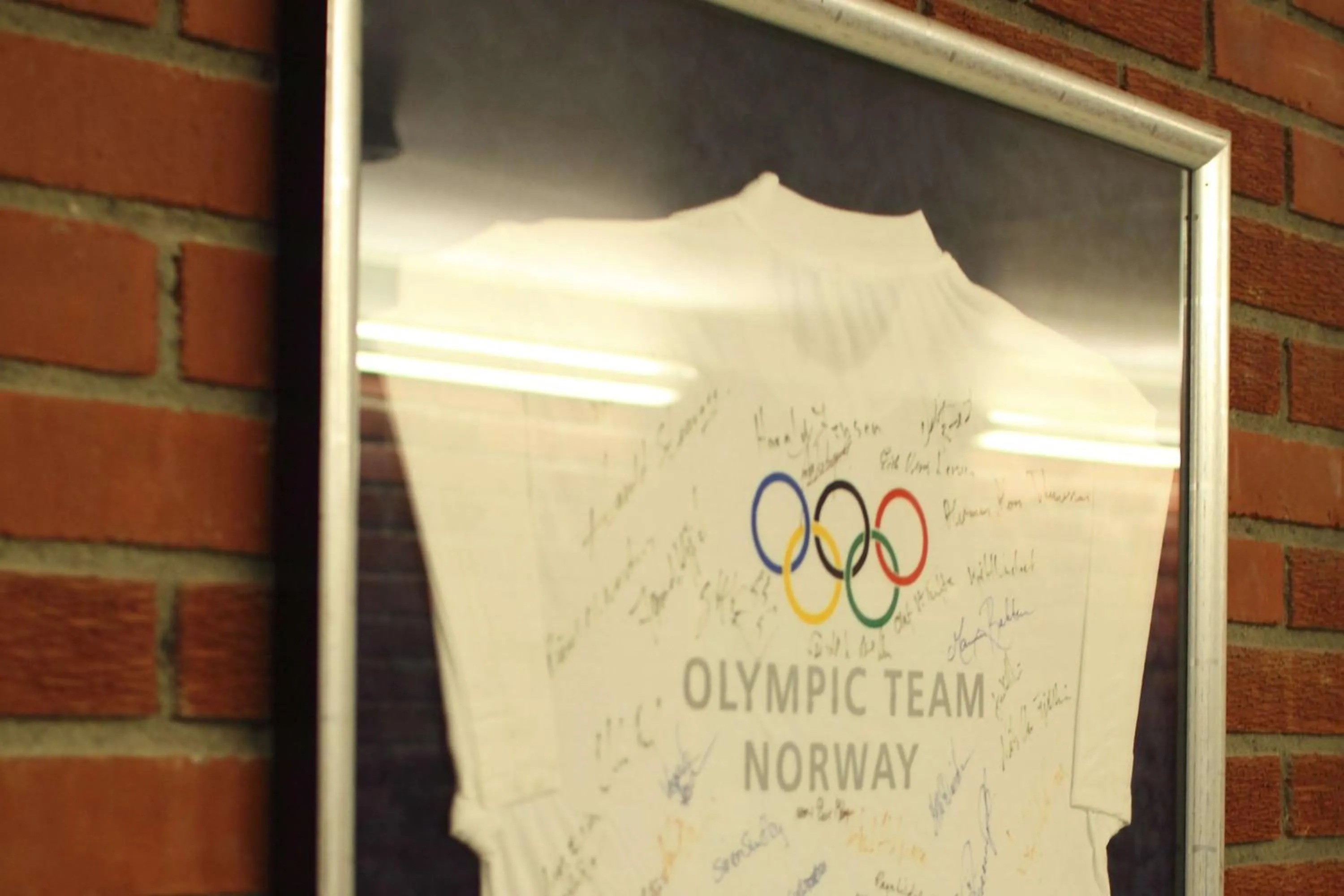 Other in Olympiatoppen Sportshotel - Scandic Partner