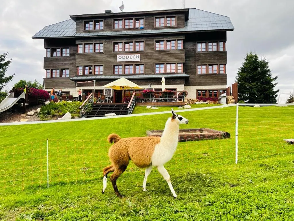 Hotel Oddech