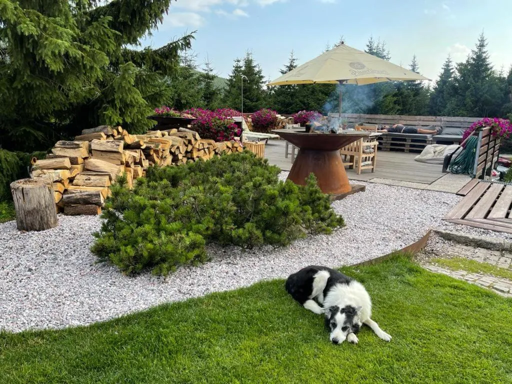 BBQ facilities in Hotel Oddech