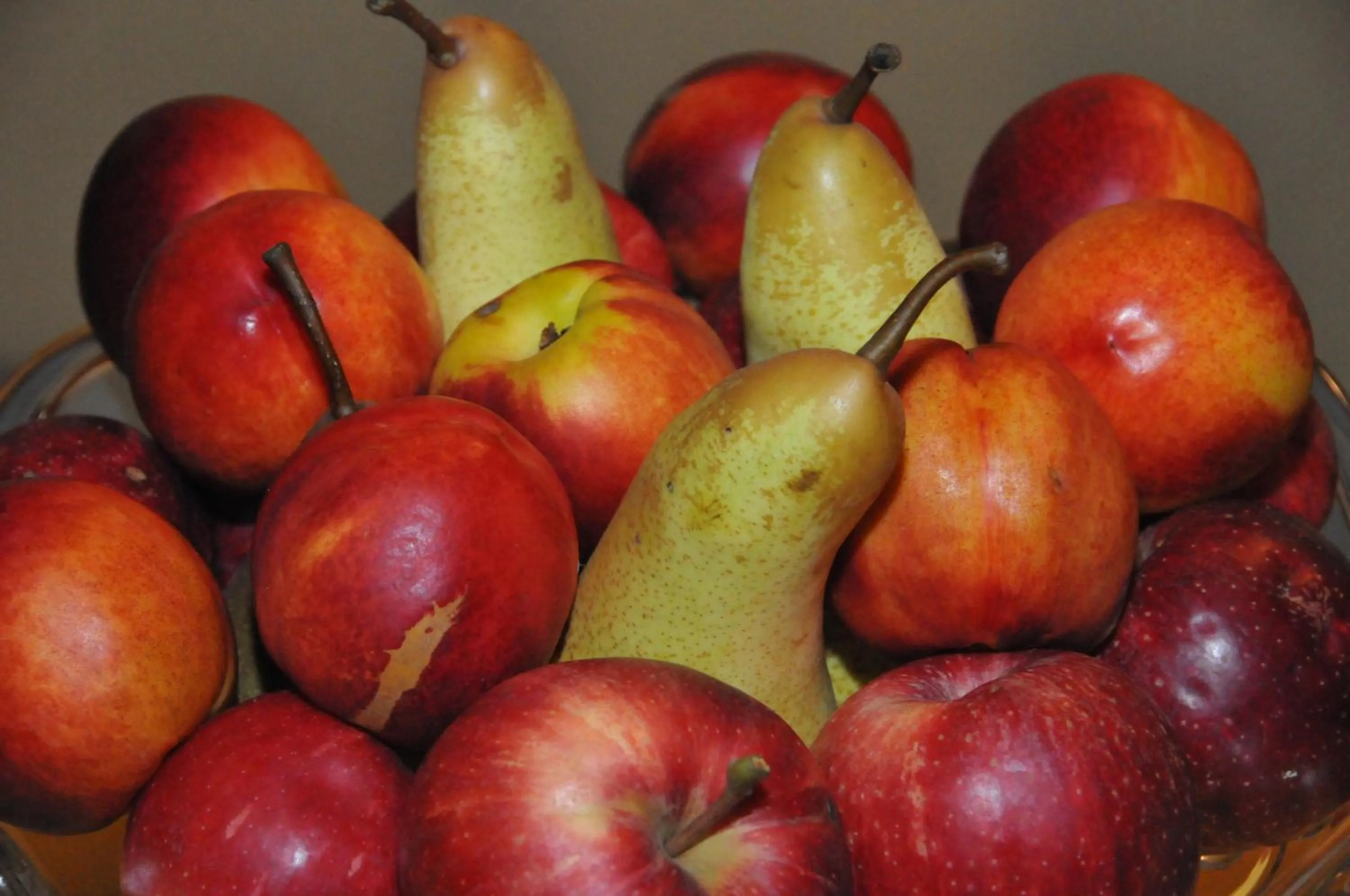 Food close-up in Agriturismo Marco