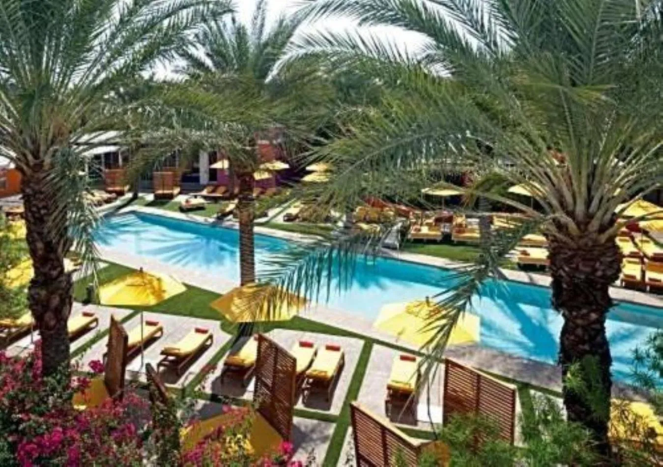 Swimming pool in The Monarch