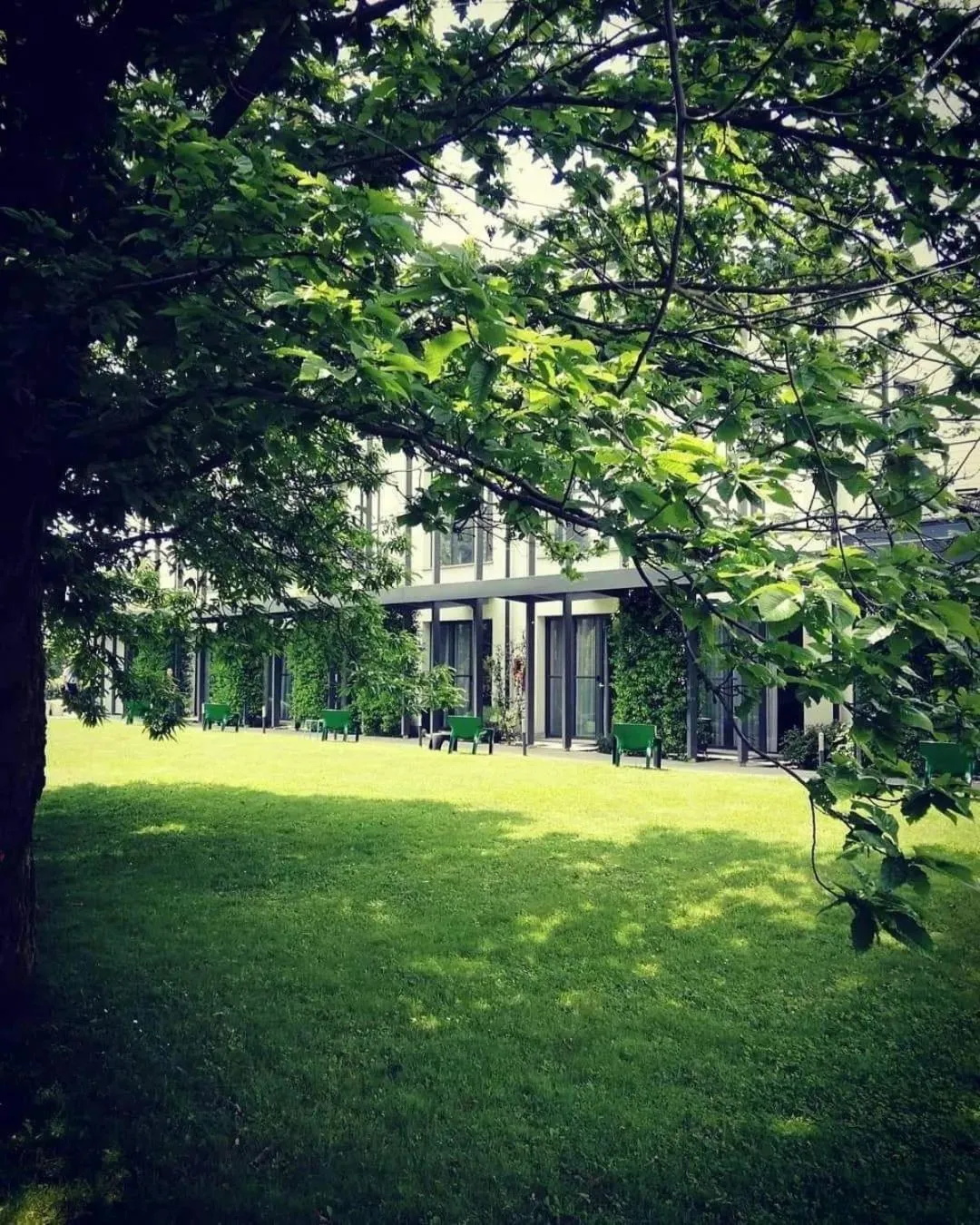 Mxp Rooms Guest House