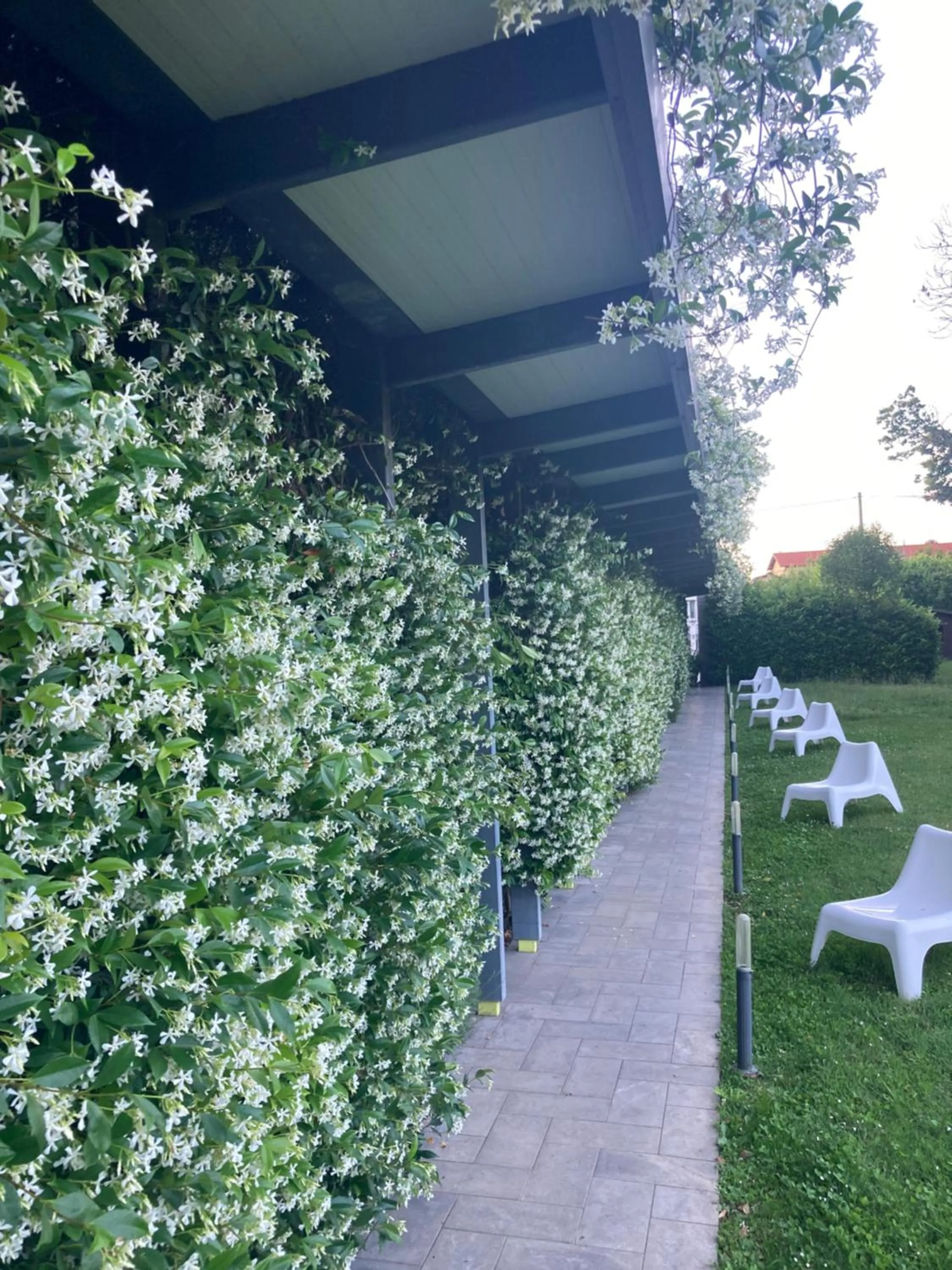 Mxp Rooms Guest House