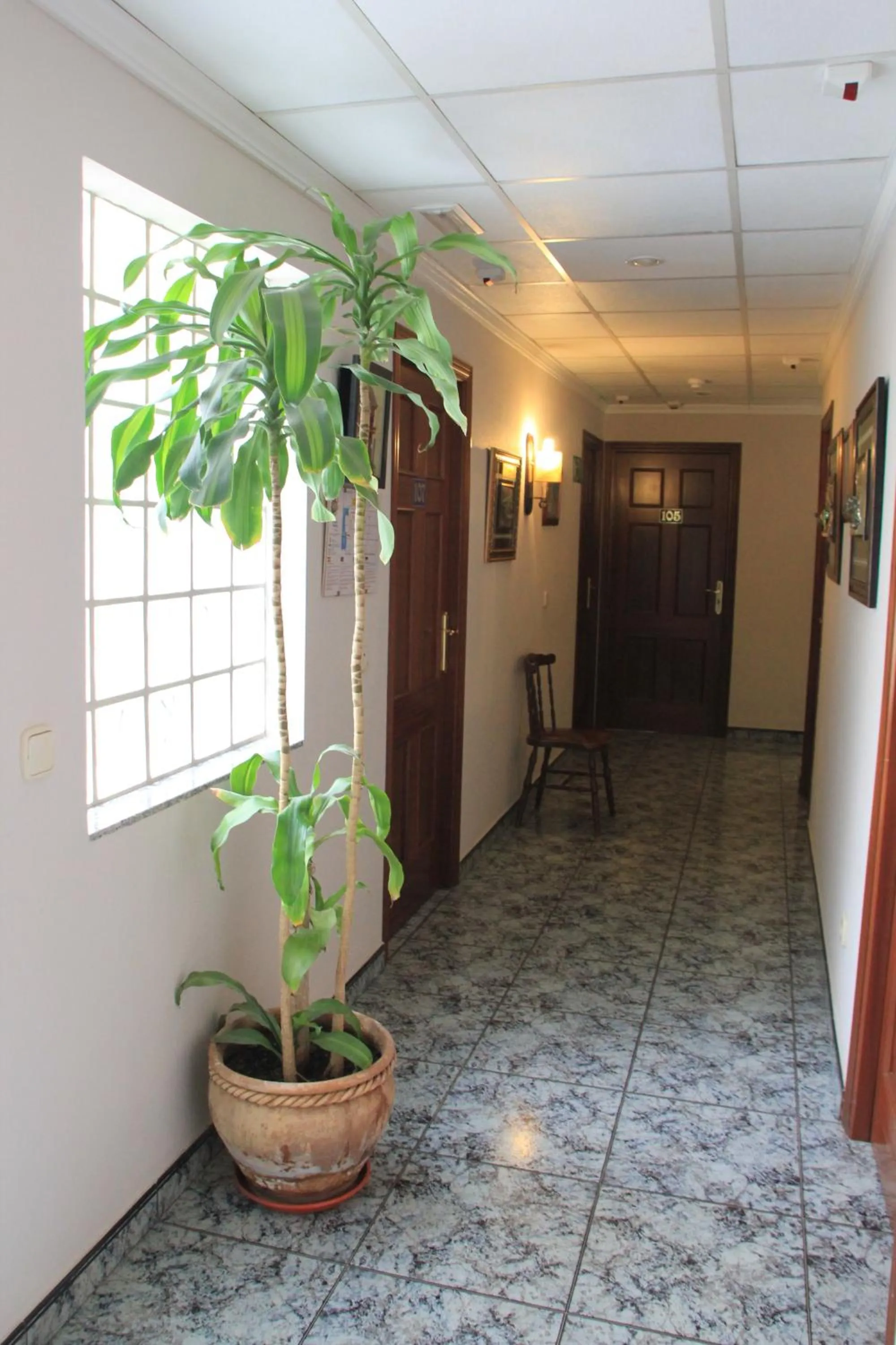 Decorative detail in Hotel El Marino