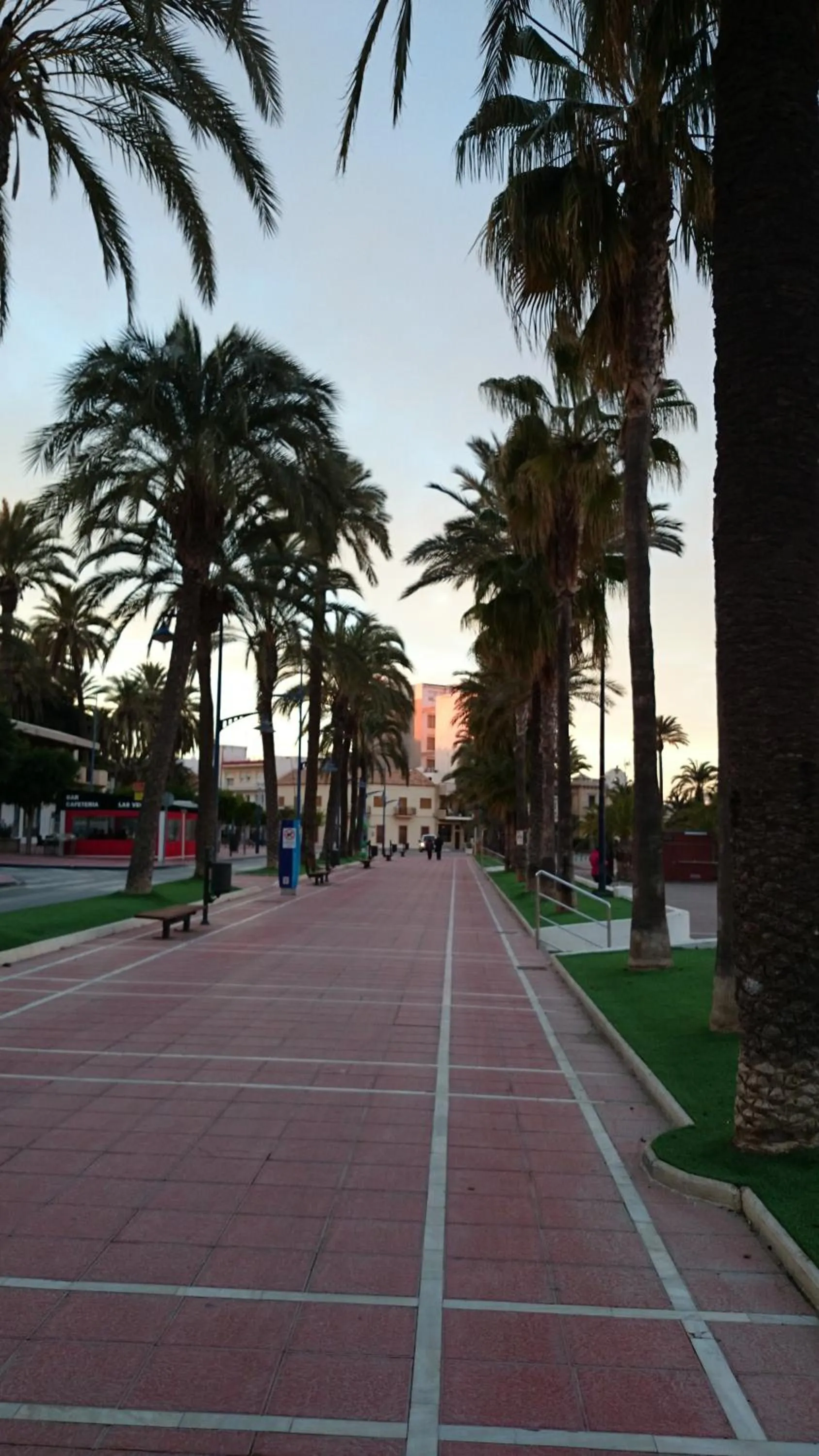 Sea view in Hotel El Marino