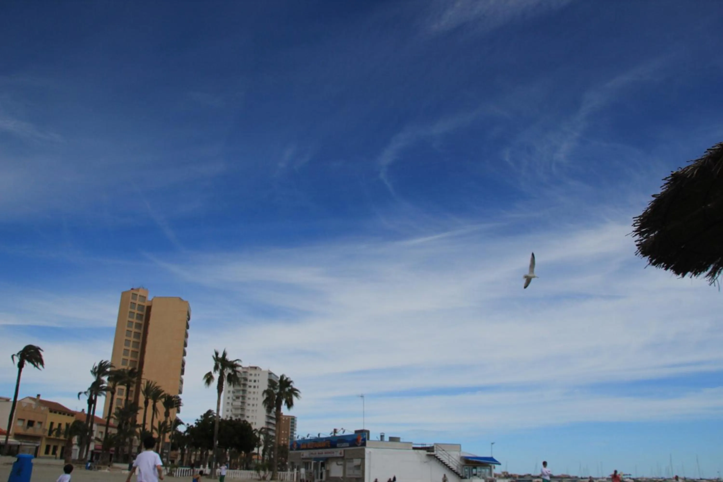 Sea view in Hotel El Marino