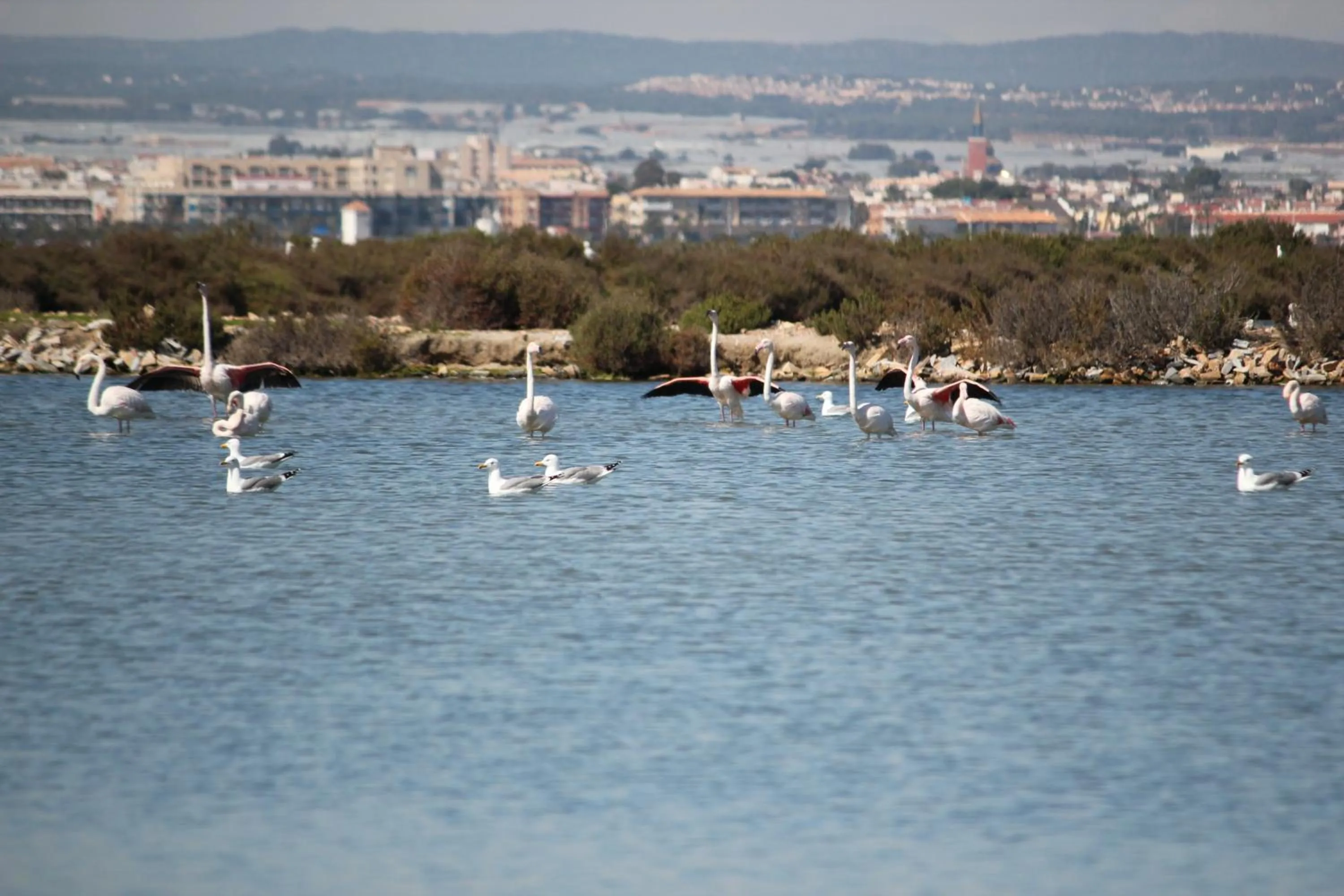 Nearby landmark in Hotel El Marino