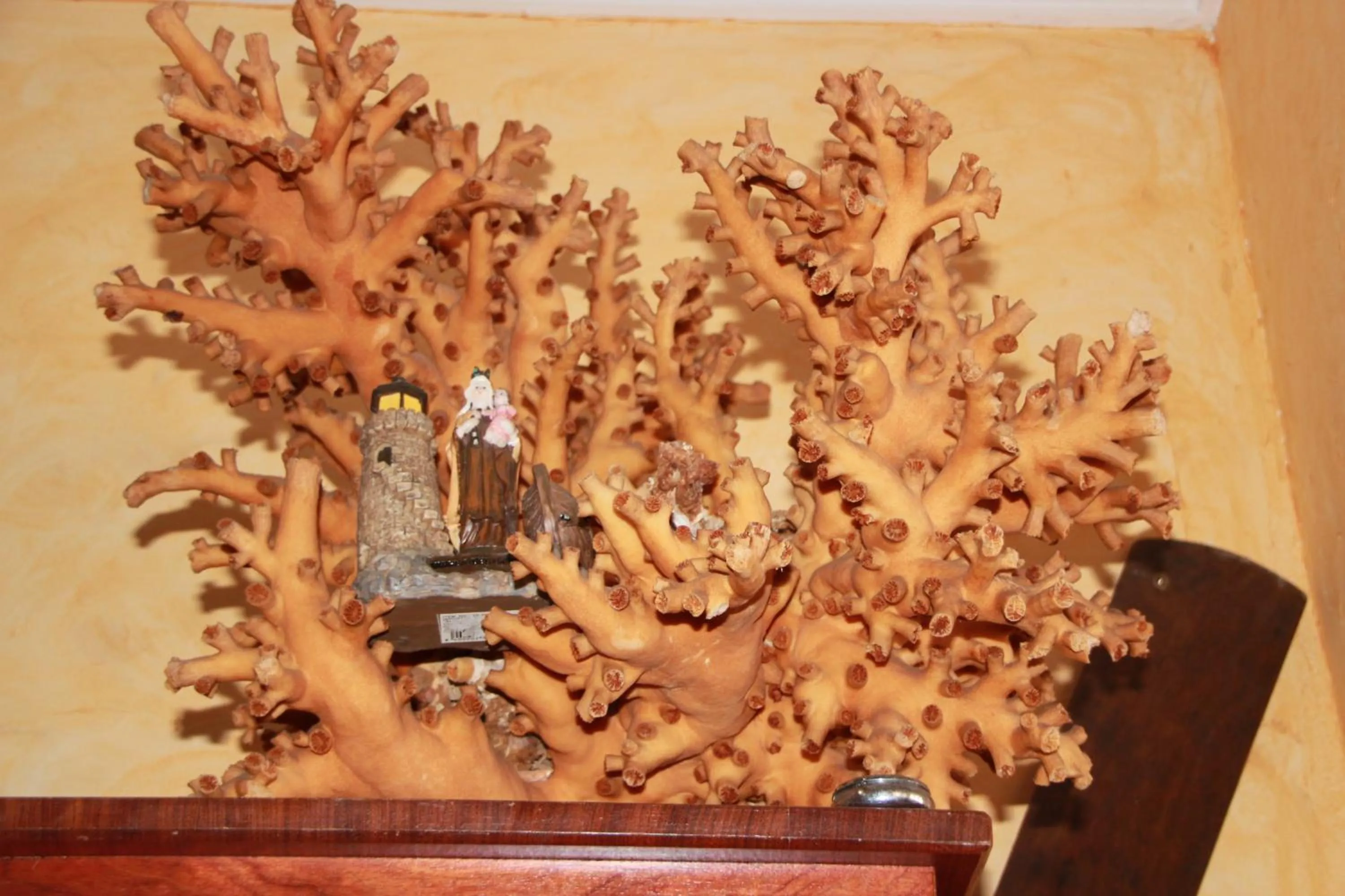 Restaurant/places to eat in Hotel El Marino