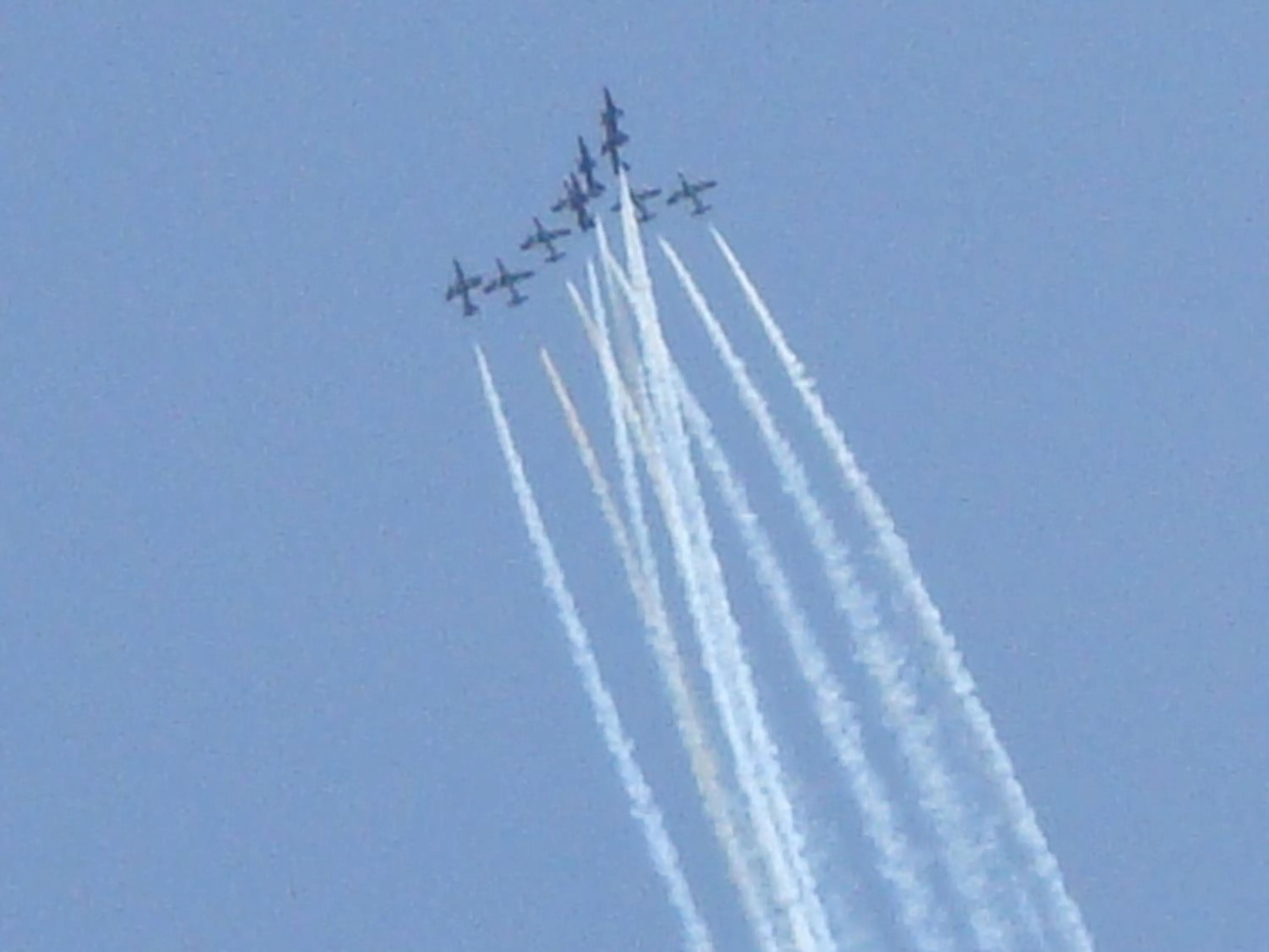 View (from property/room) in Hotel El Marino