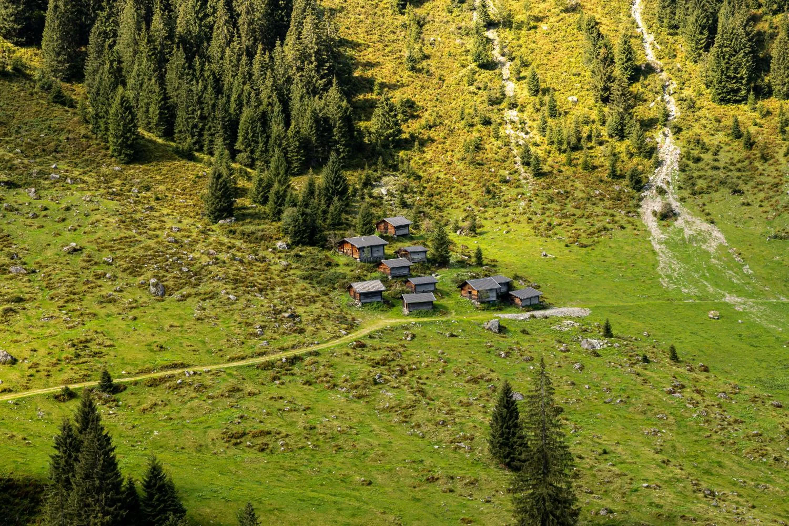 Natural landscape in Aparthotel Iris