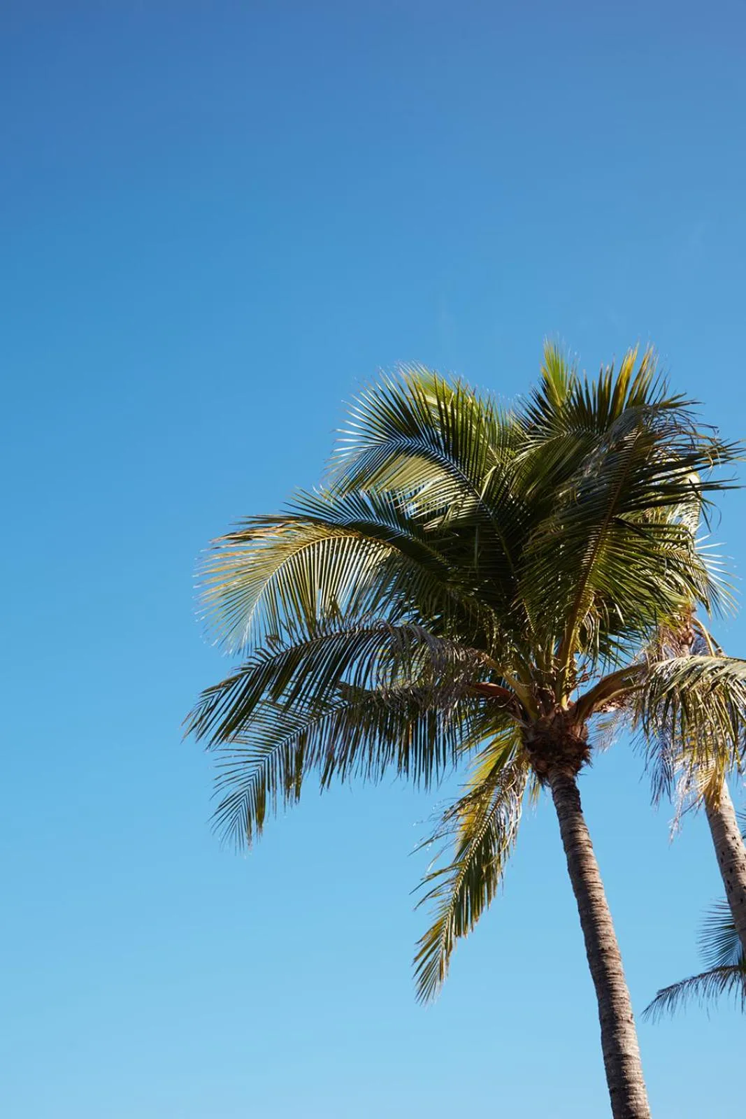 View (from property/room) in The Continental Hotel