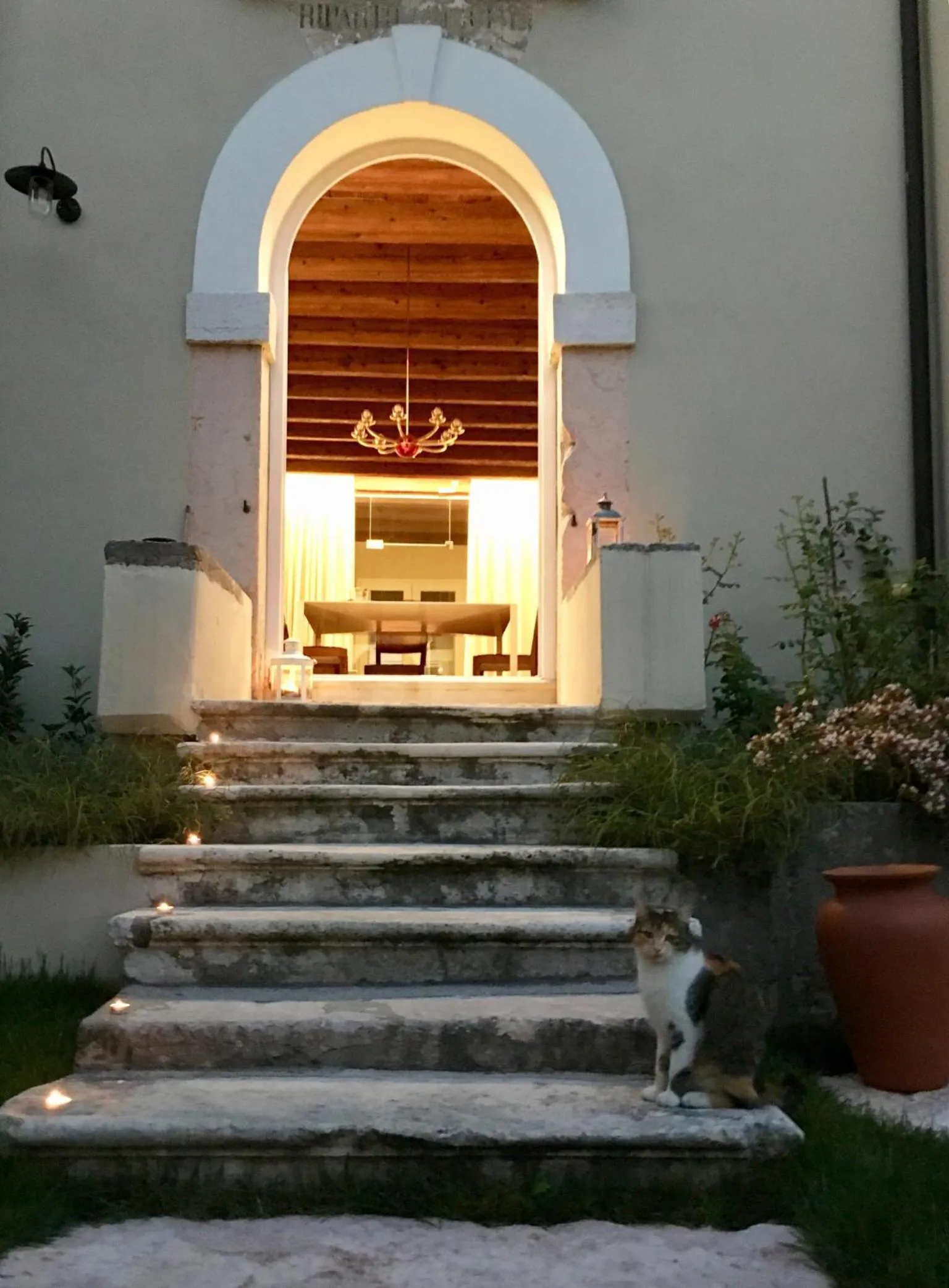 Pets in Corielli B&B