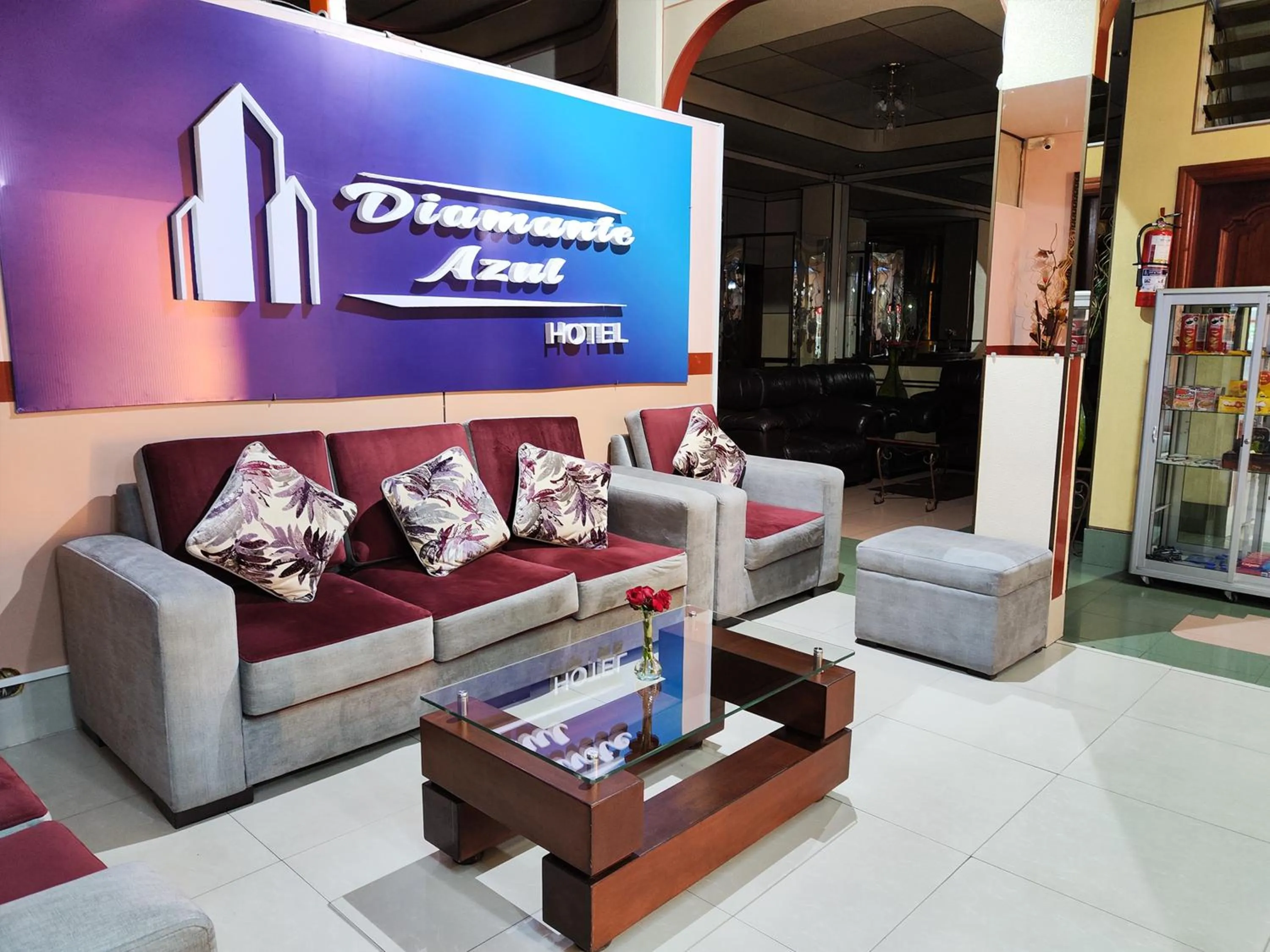 Living room in Hotel Diamante Azul