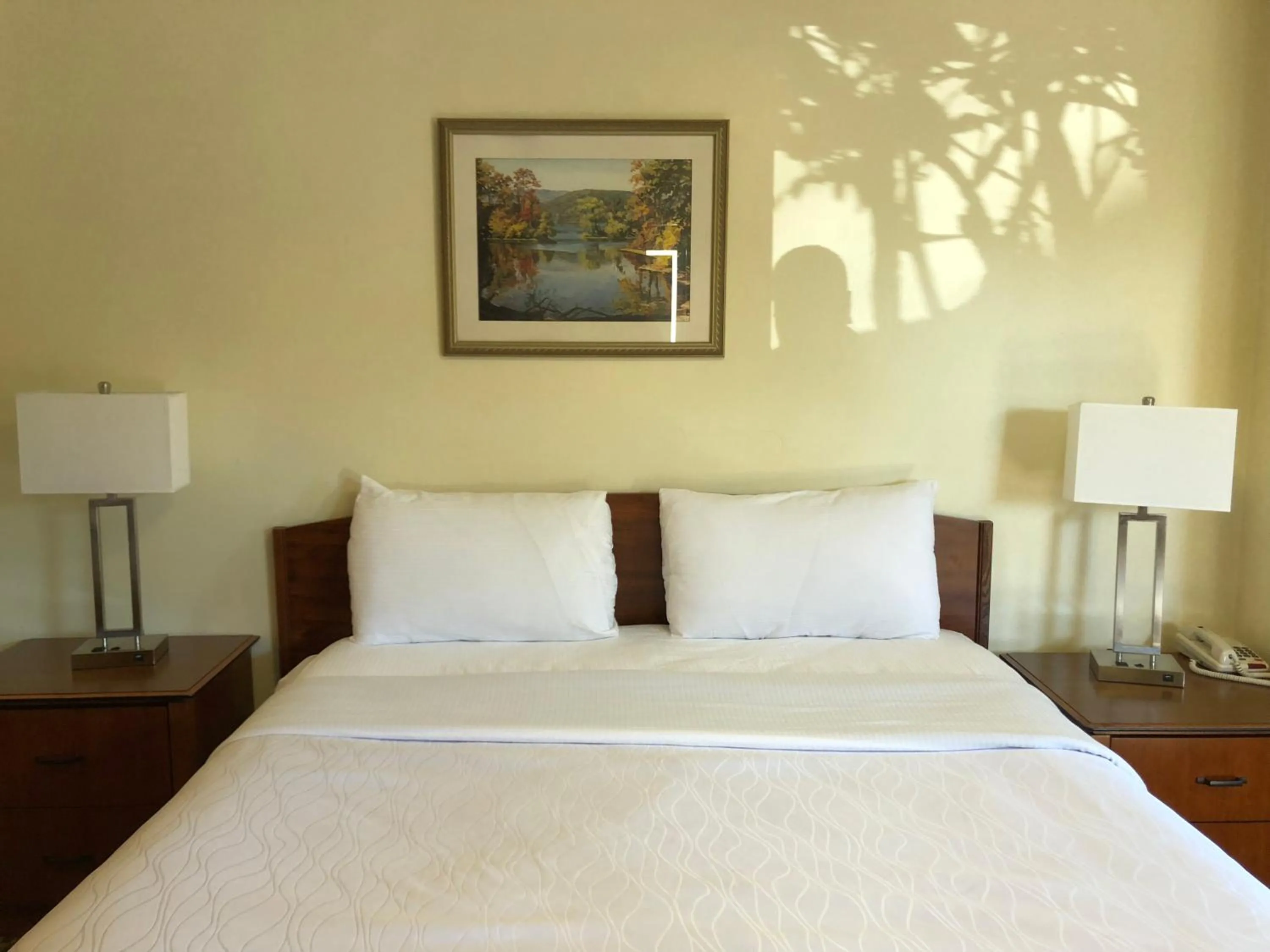 Standard Queen Room in Monticello Motel