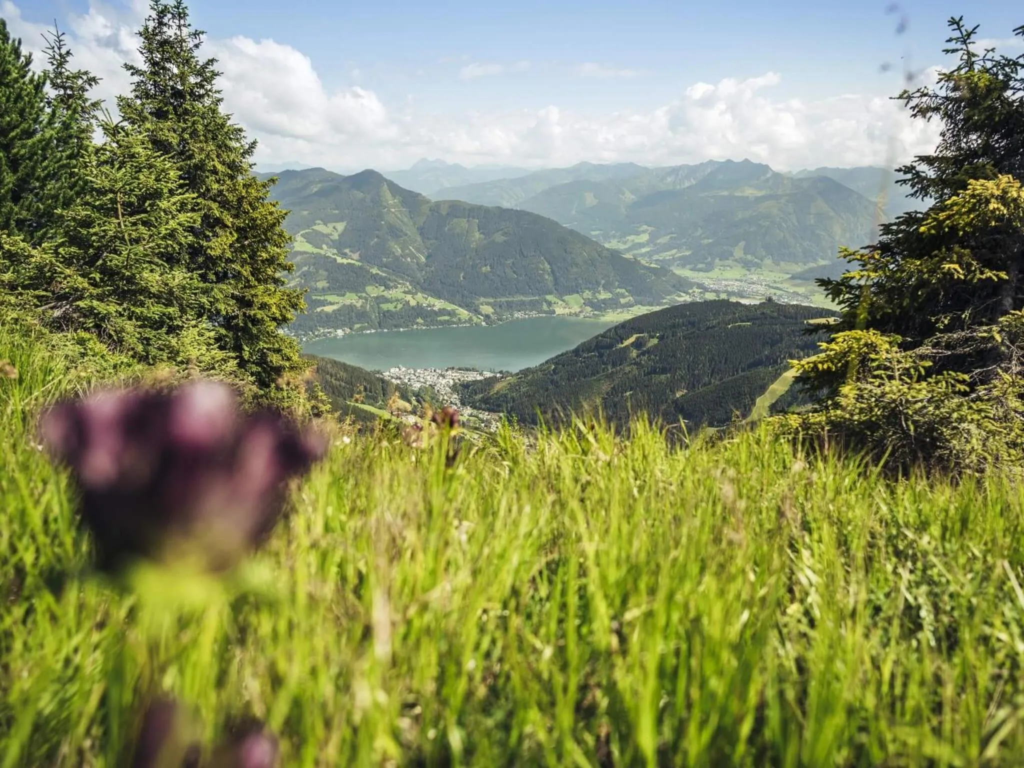 Natural landscape in Gästehaus Bleiweis-Zehentner