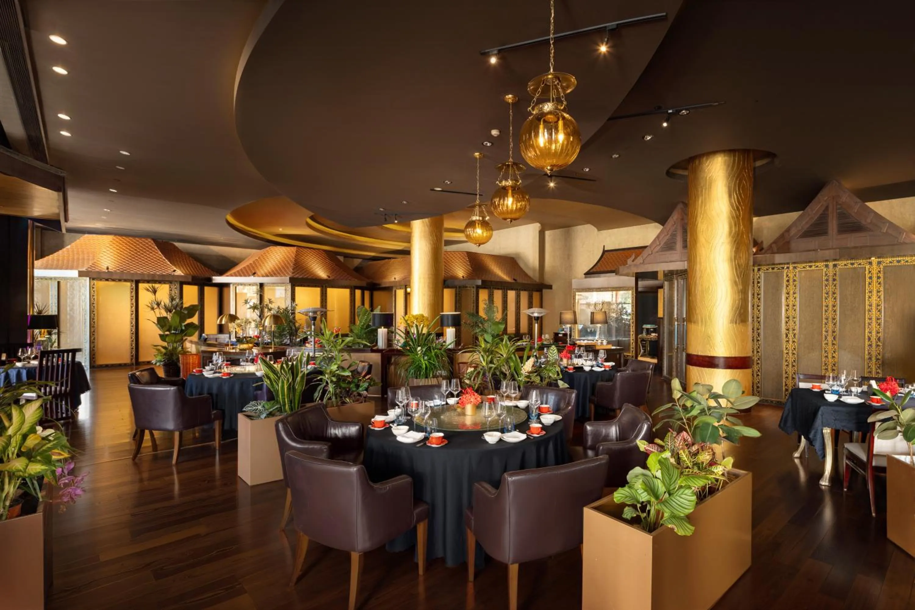 Restaurant/places to eat in Shangri-La Xian