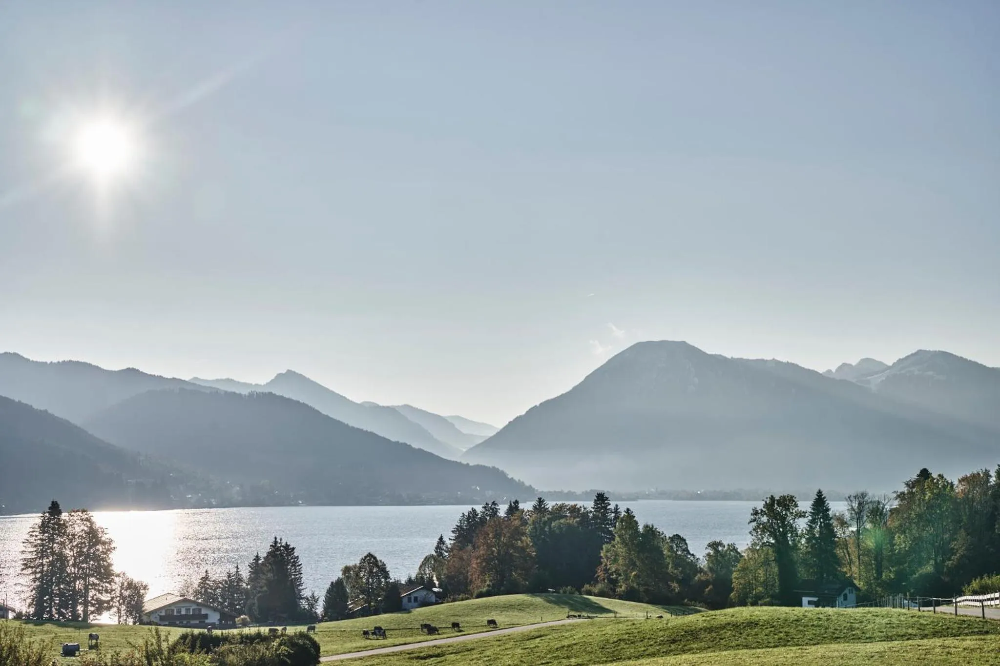 Activities in Hotel Bussi Baby