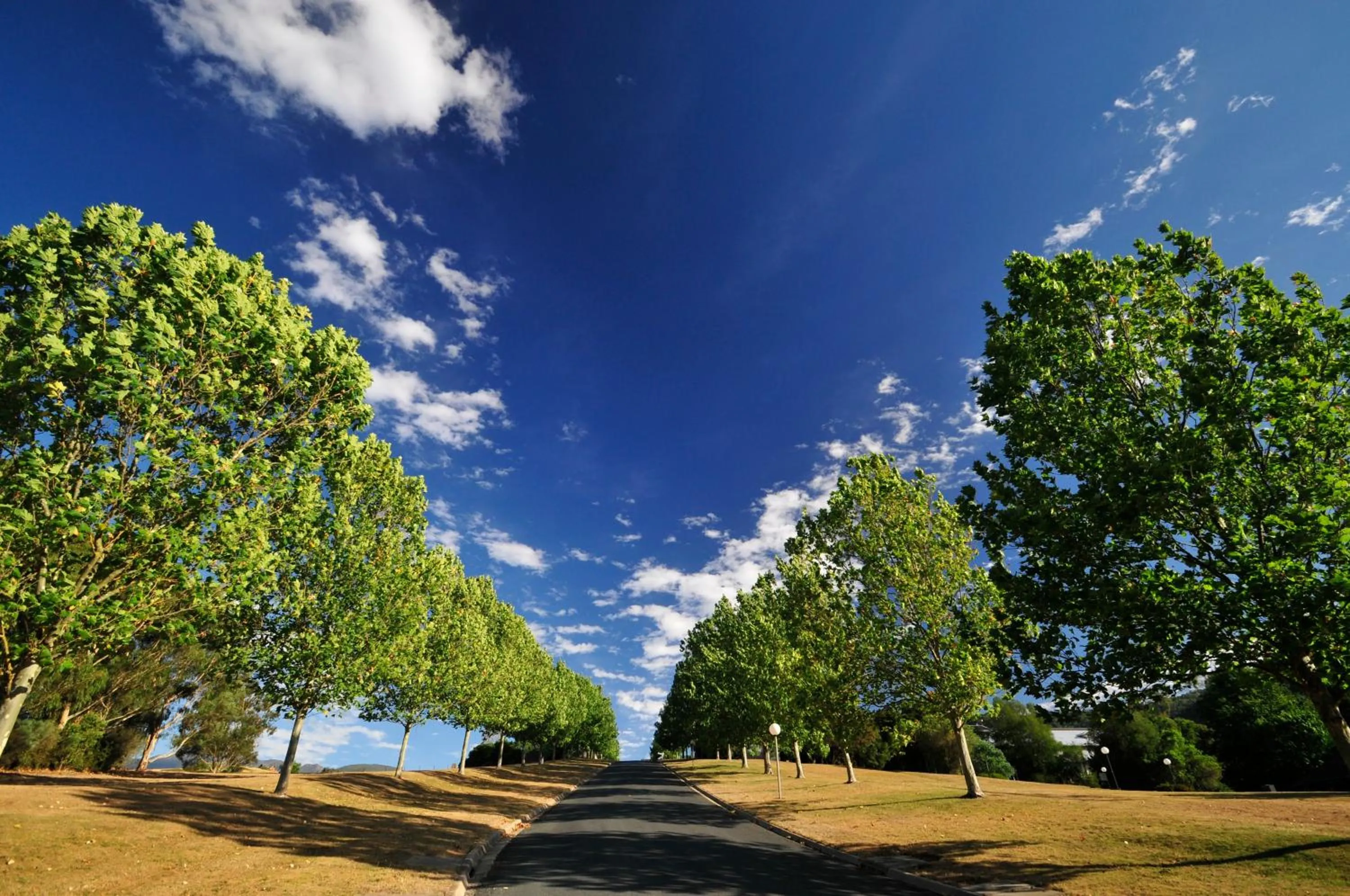 Other in The Sebel Pinnacle Valley