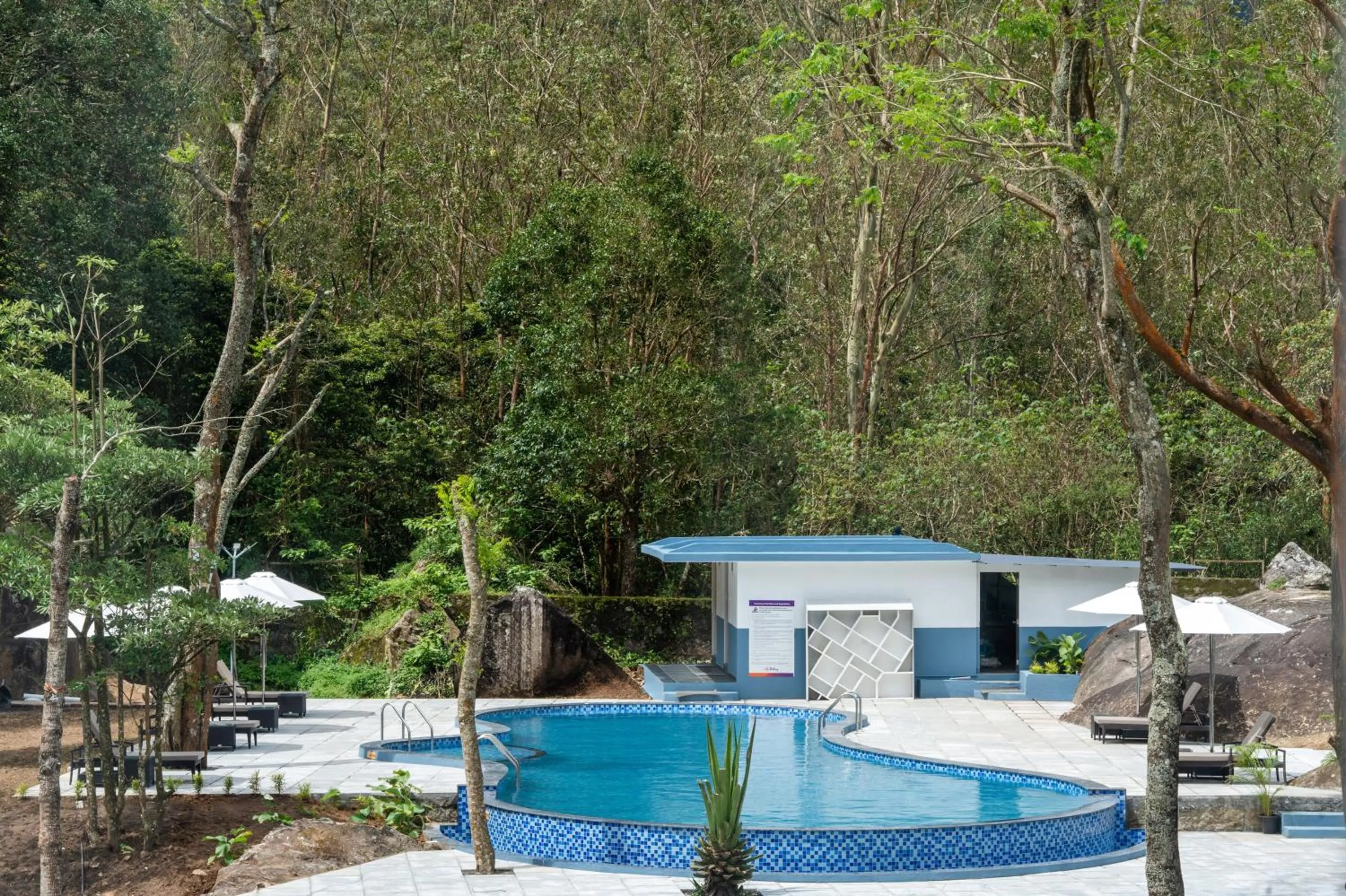 Swimming pool in Sterling Munnar