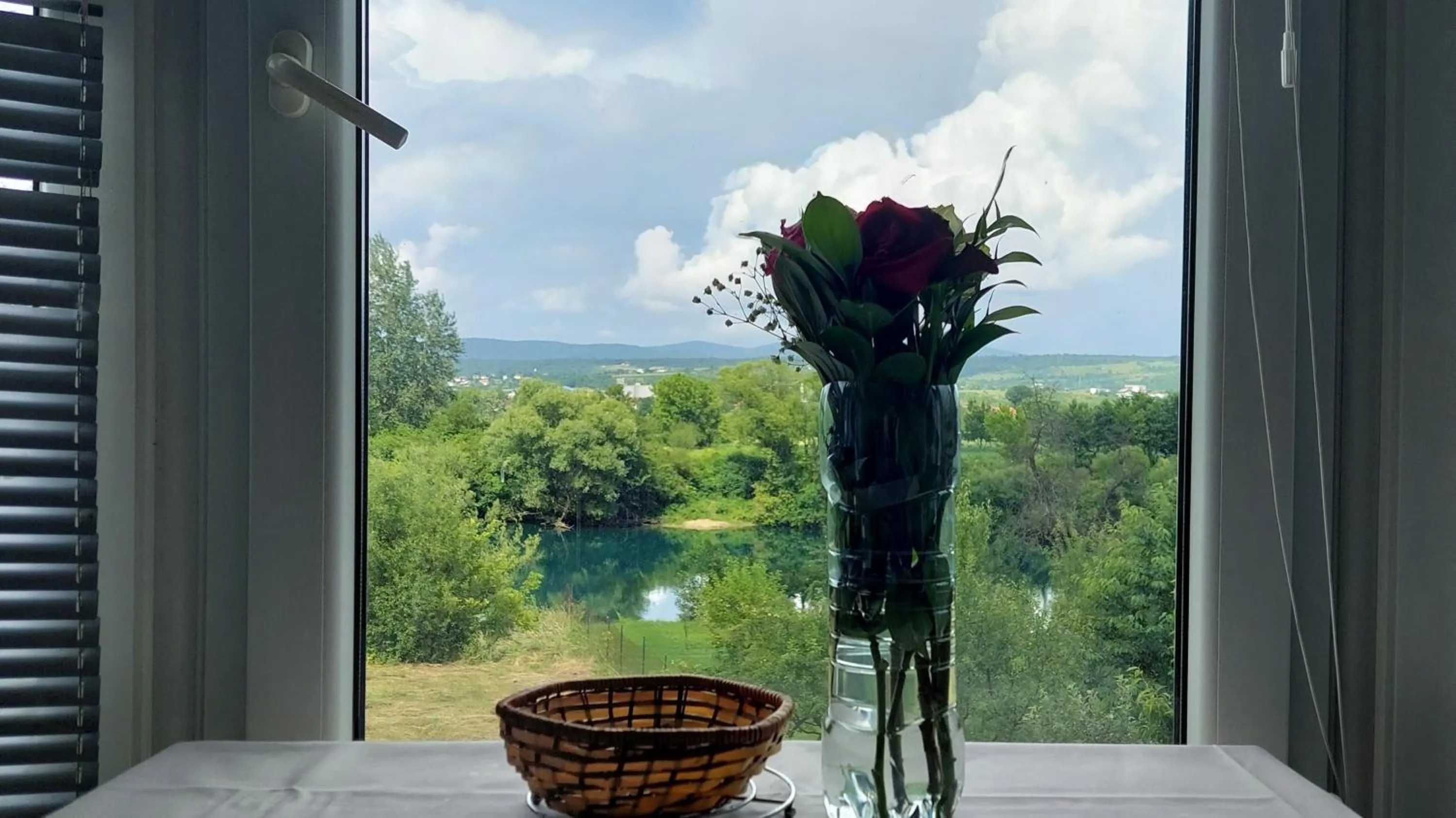 Apartments Window
