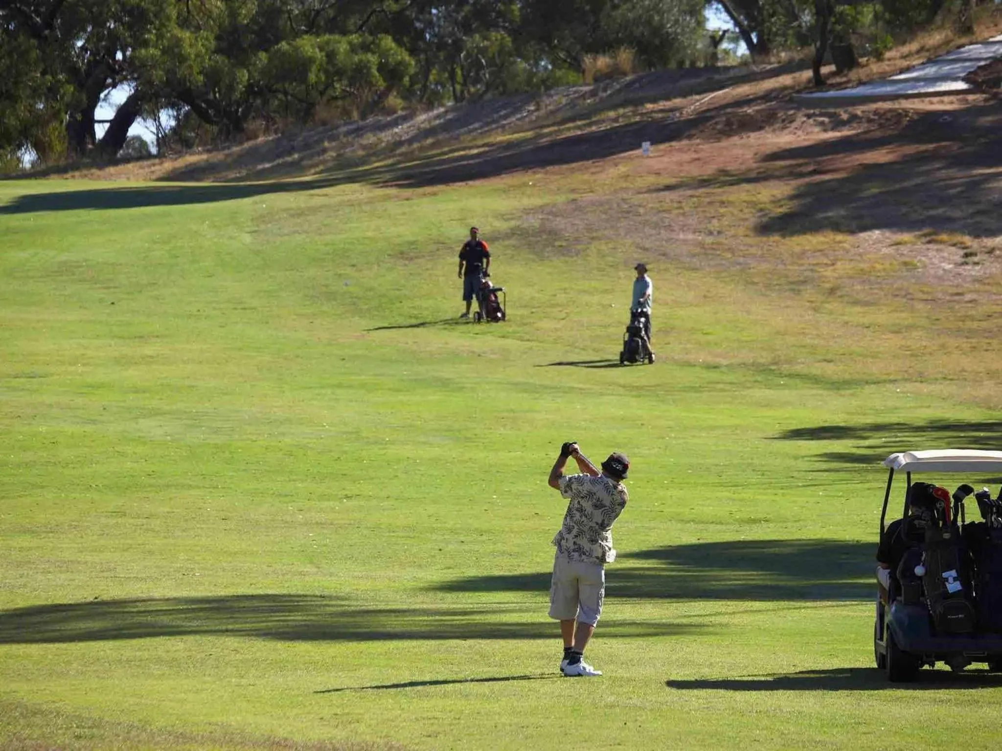 Golfcourse in Novotel Barossa Valley Resort