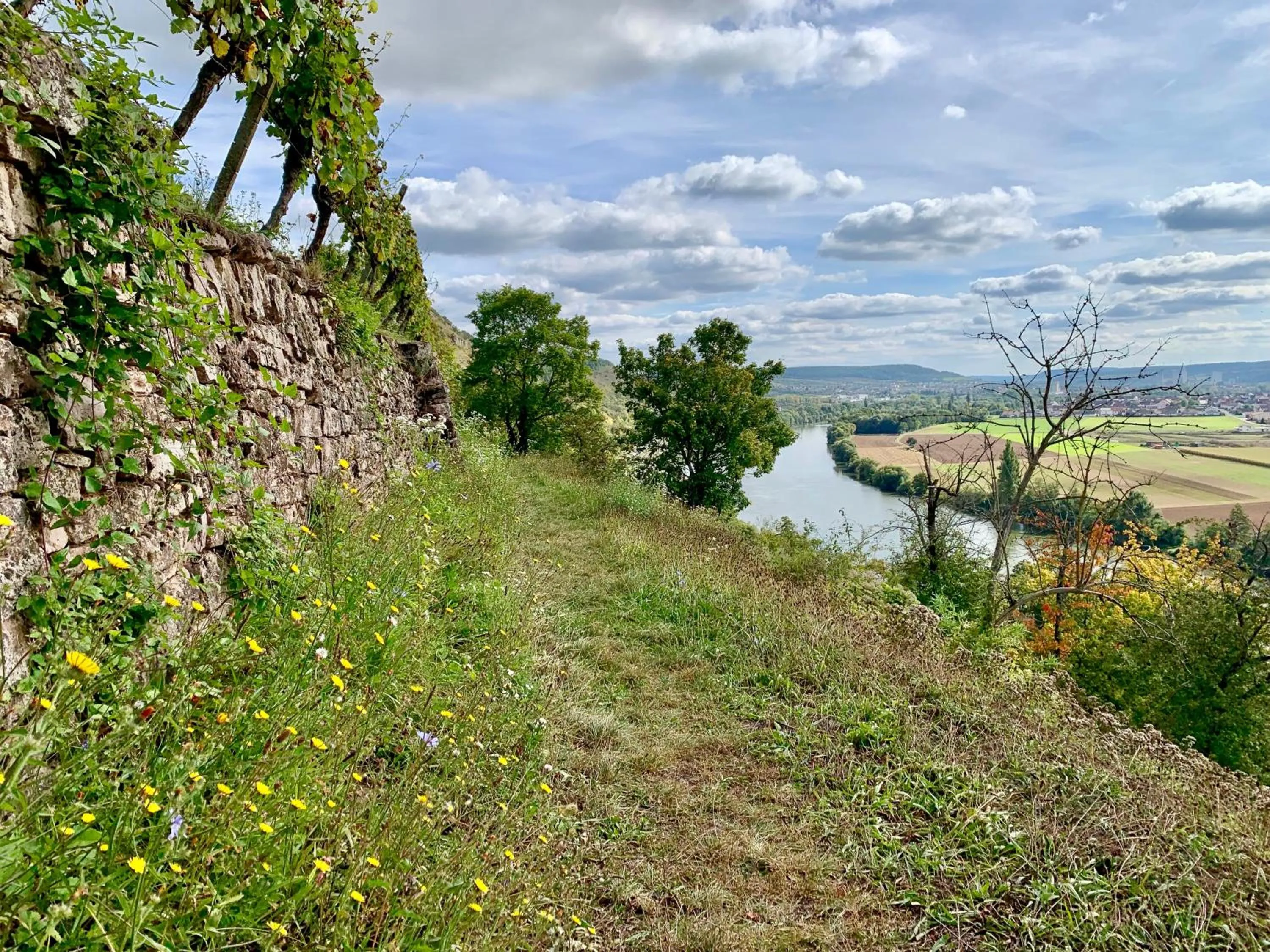 Hiking in Seehotel Gut Dürnhof