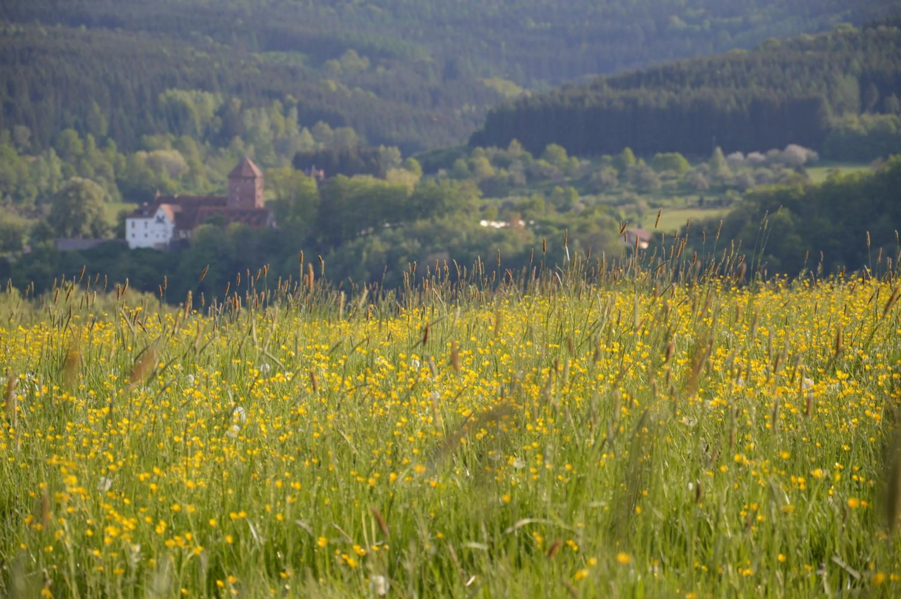 Hiking in Seehotel Gut Dürnhof