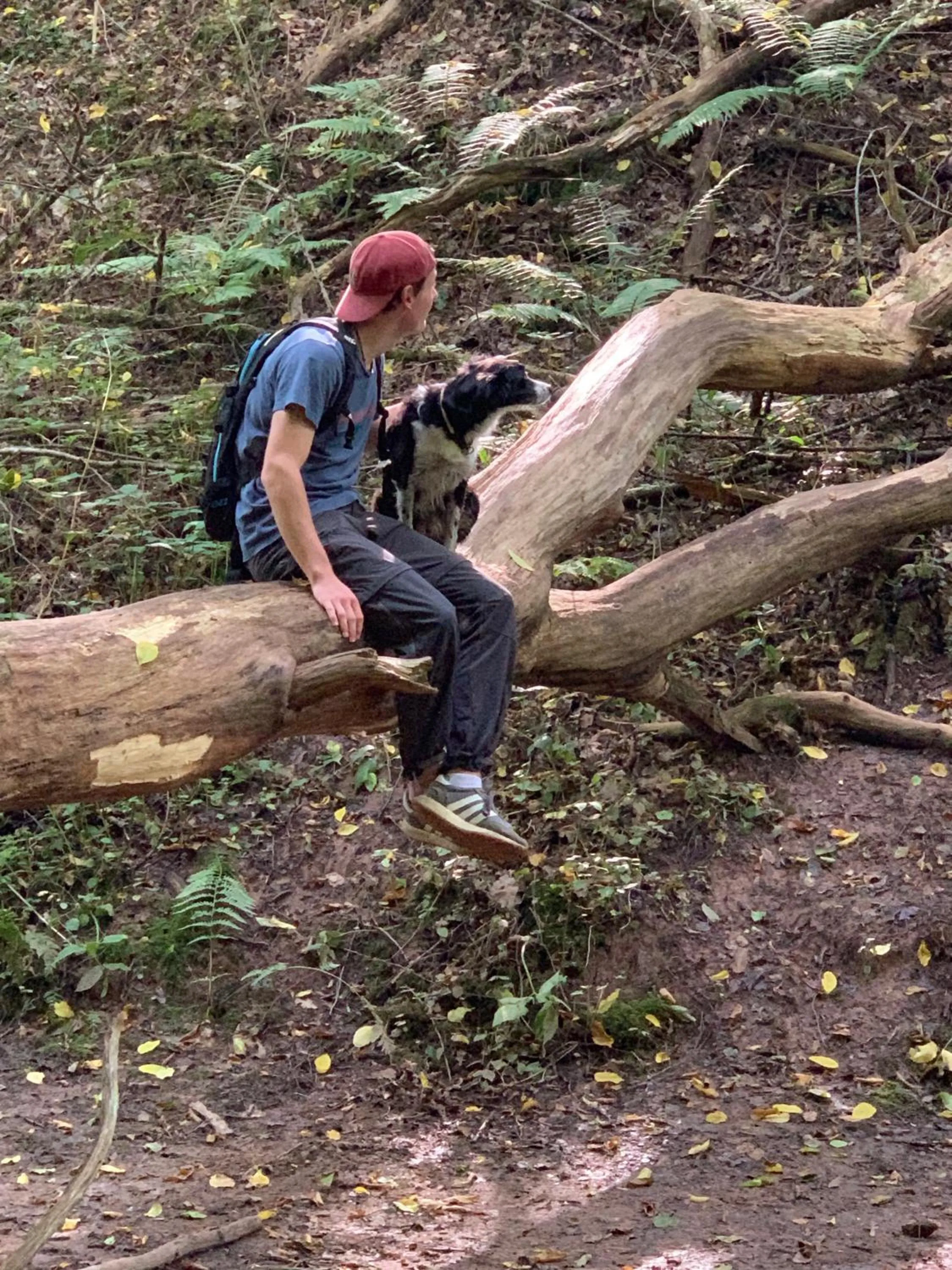 Hiking in Seehotel Gut Dürnhof