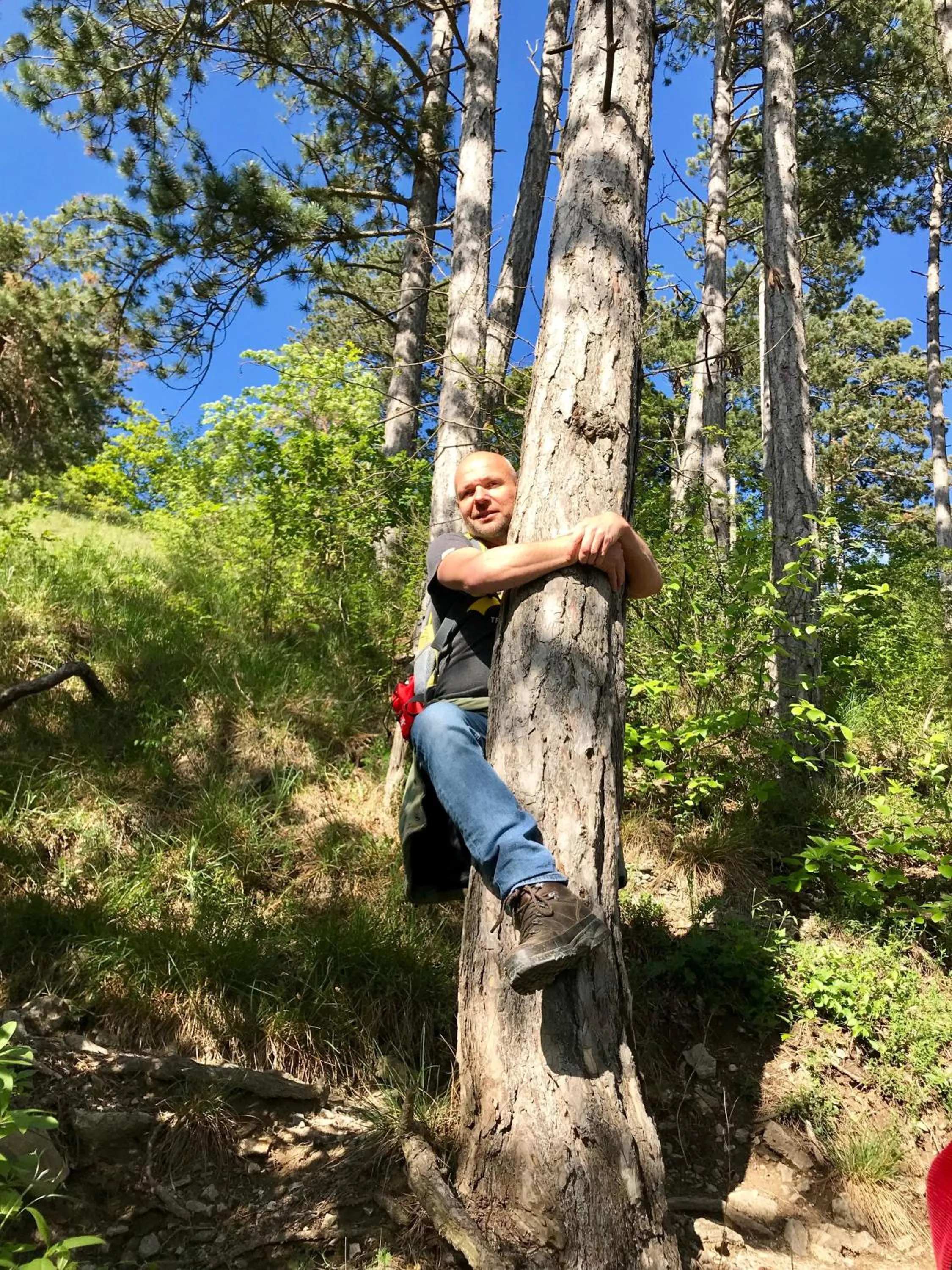 Hiking in Seehotel Gut Dürnhof