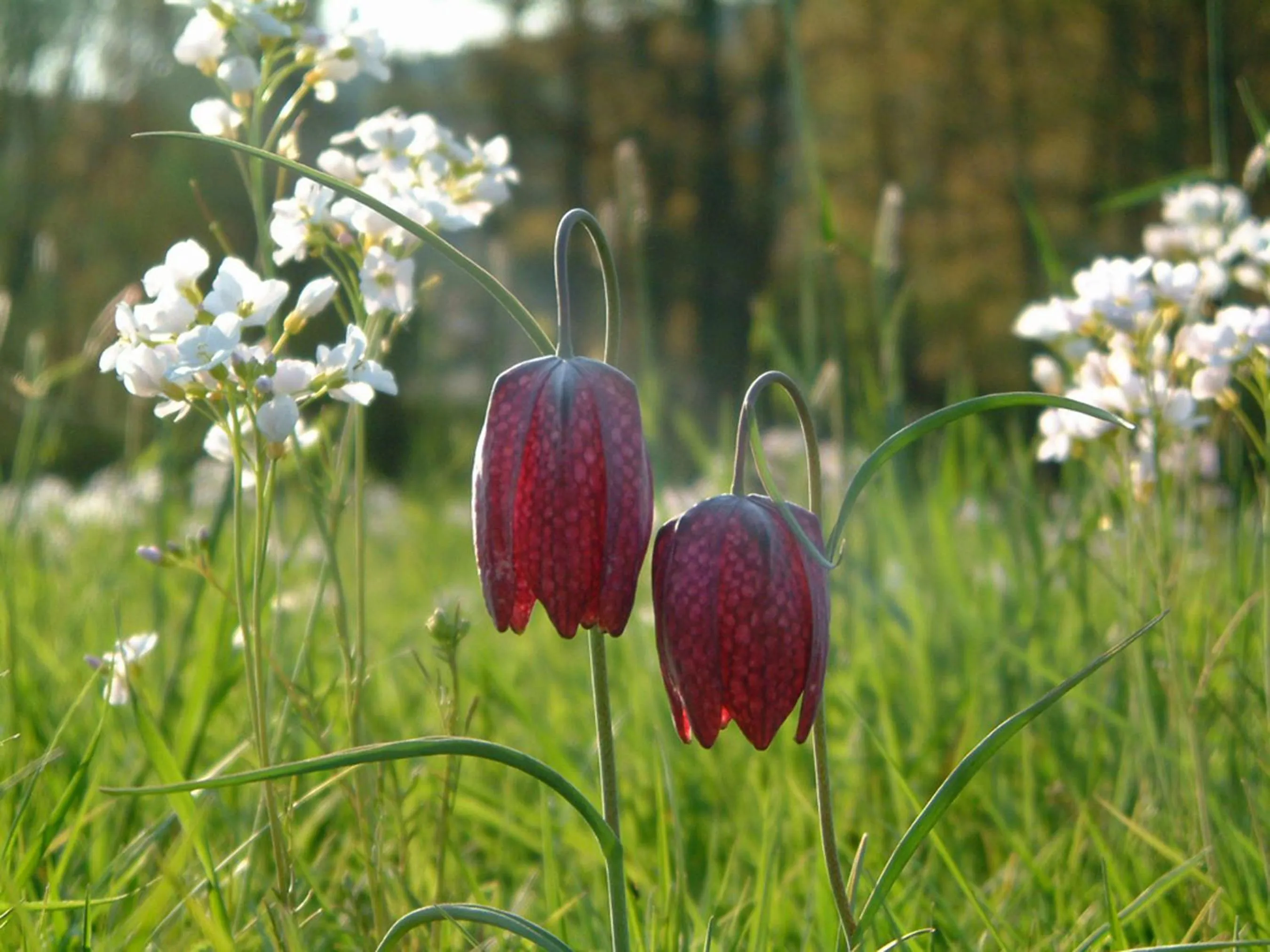 Other in Seehotel Gut Dürnhof