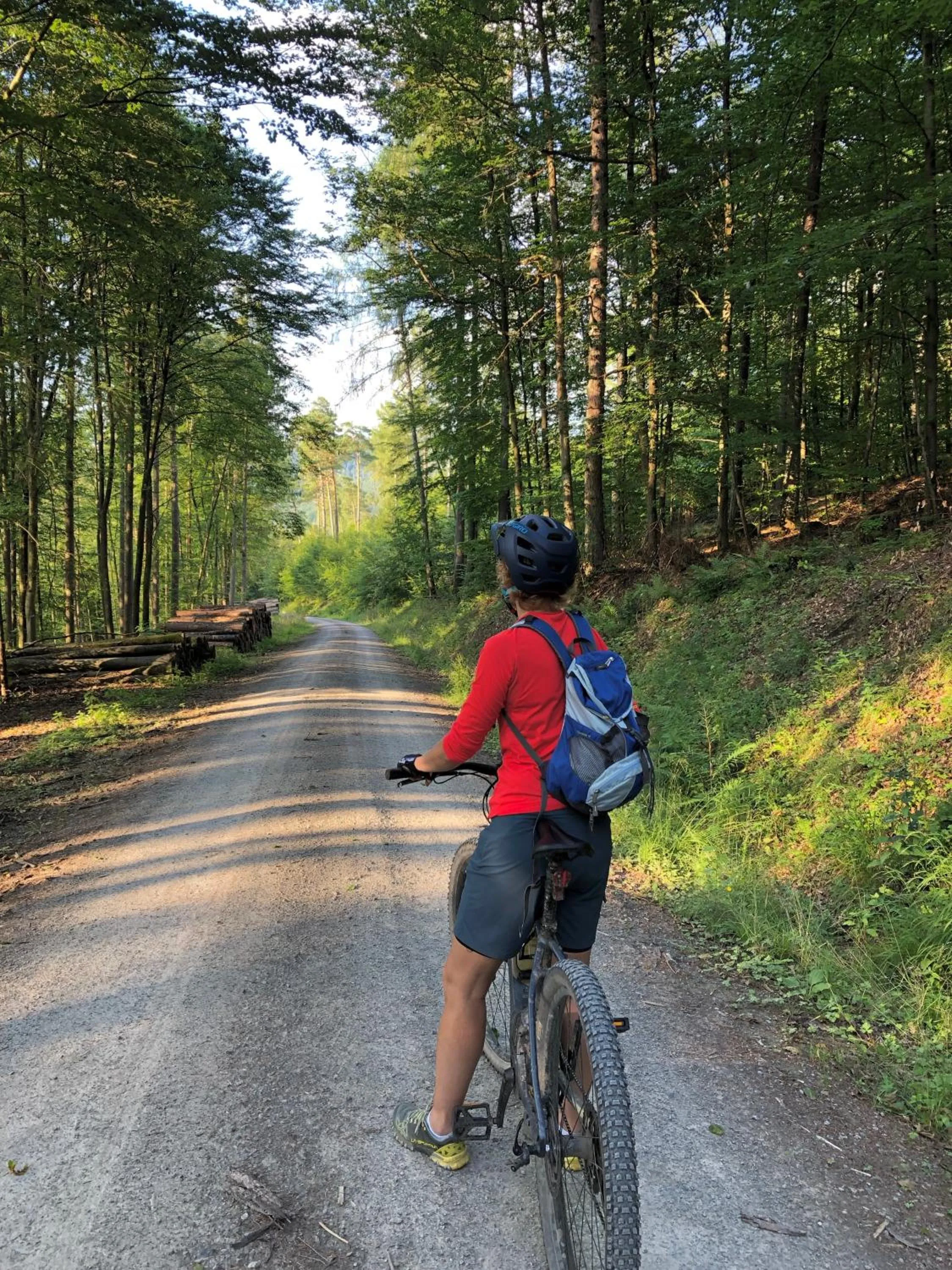 Cycling in Seehotel Gut Dürnhof