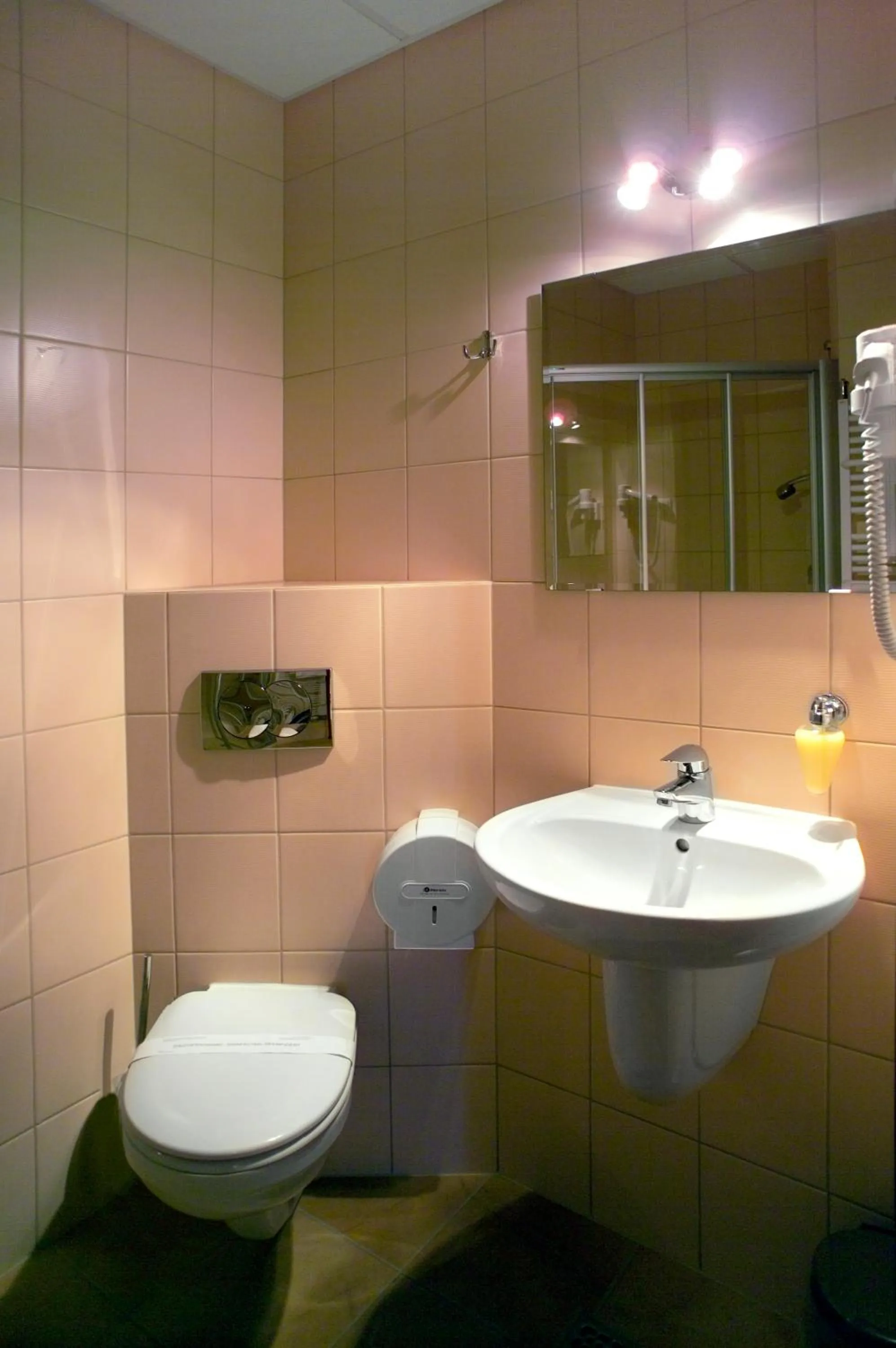 Toilet in SPA Barlinek, Hotel Alma & SPA - UWAGA - styczen do marzec 2026 basen nieczynny!