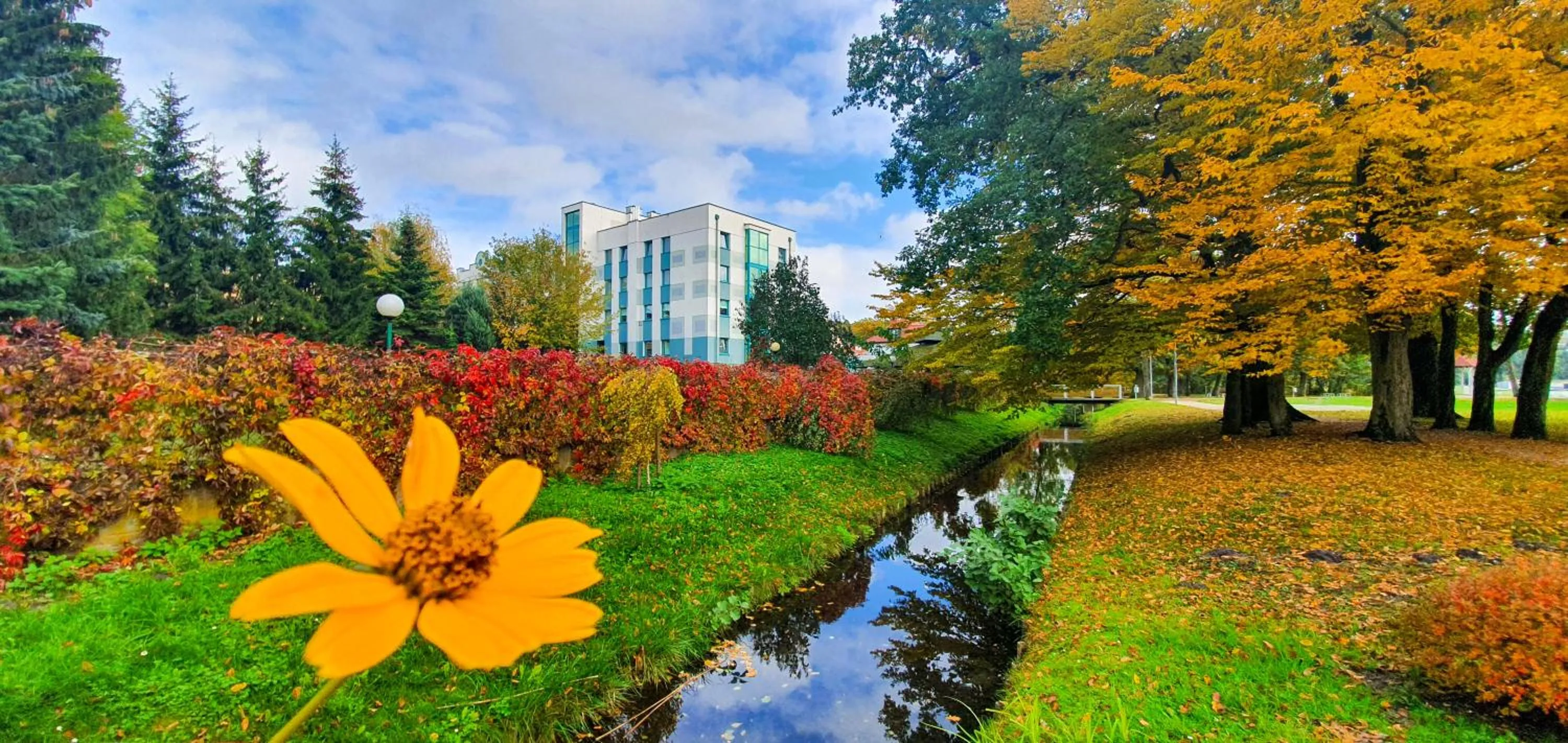 Property building in SPA Barlinek, Hotel Alma & SPA - UWAGA - styczen do marzec 2026 basen nieczynny!