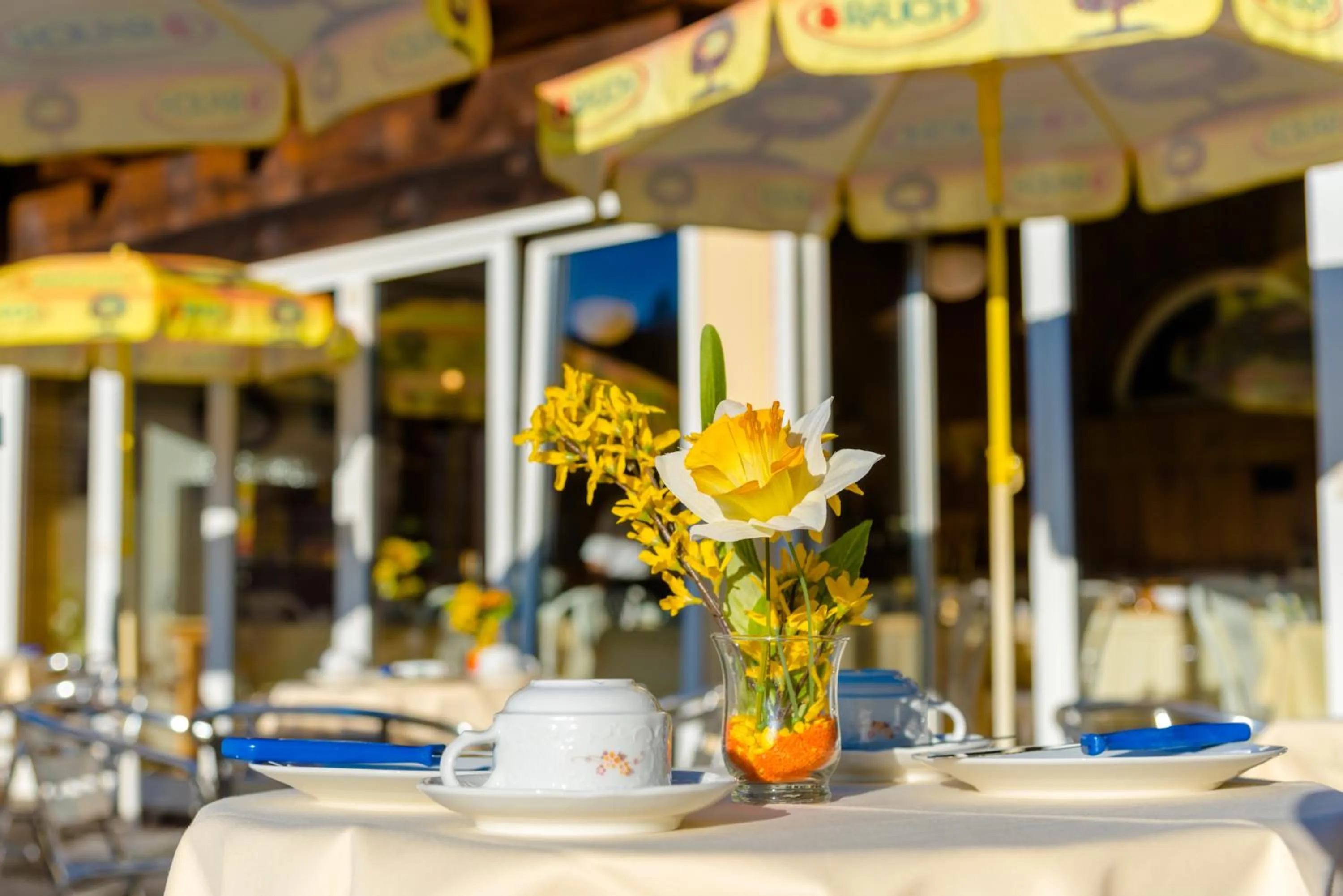 Restaurant/places to eat in Stadthotel Schwerterbräu