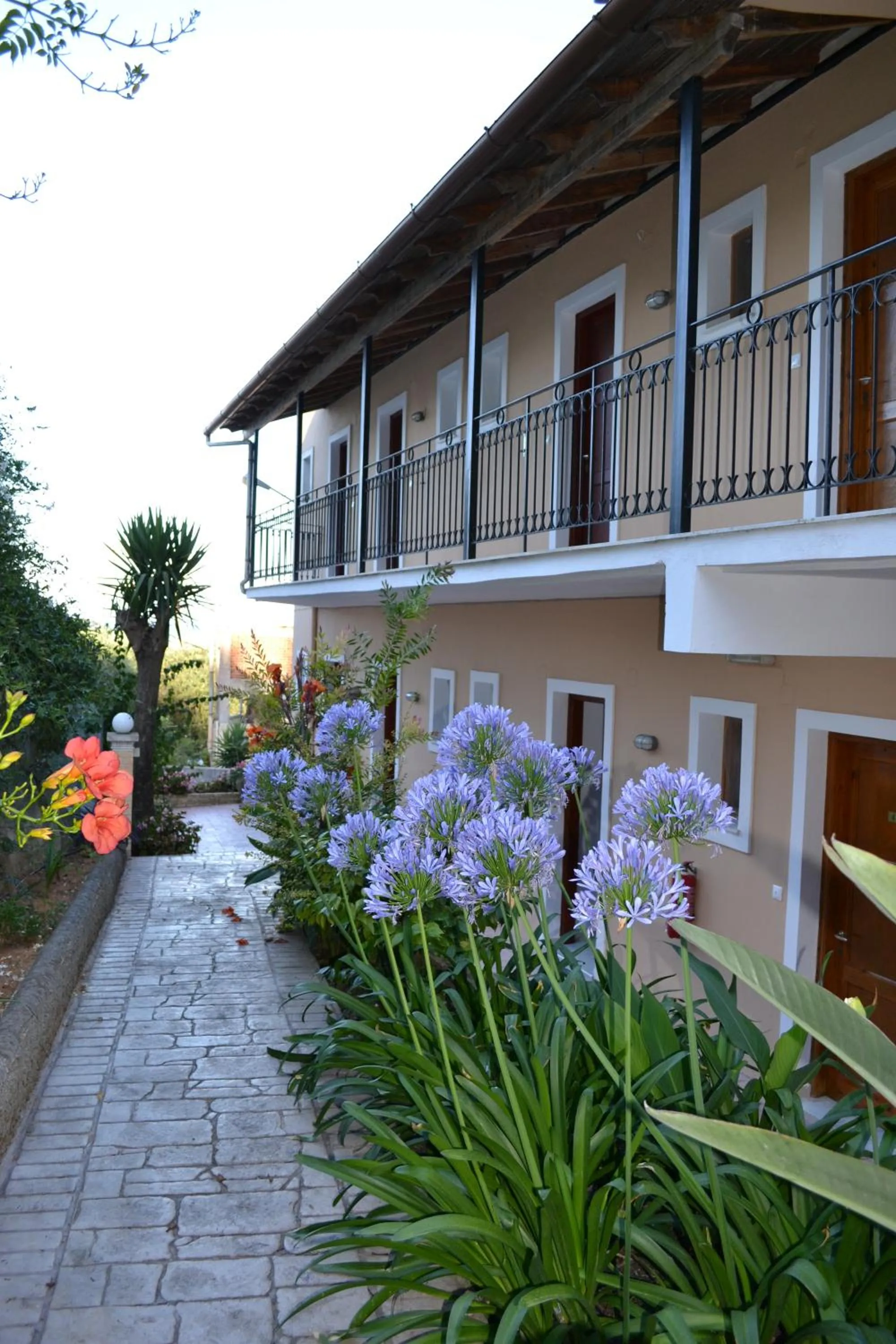 Property building in Iliana Studios