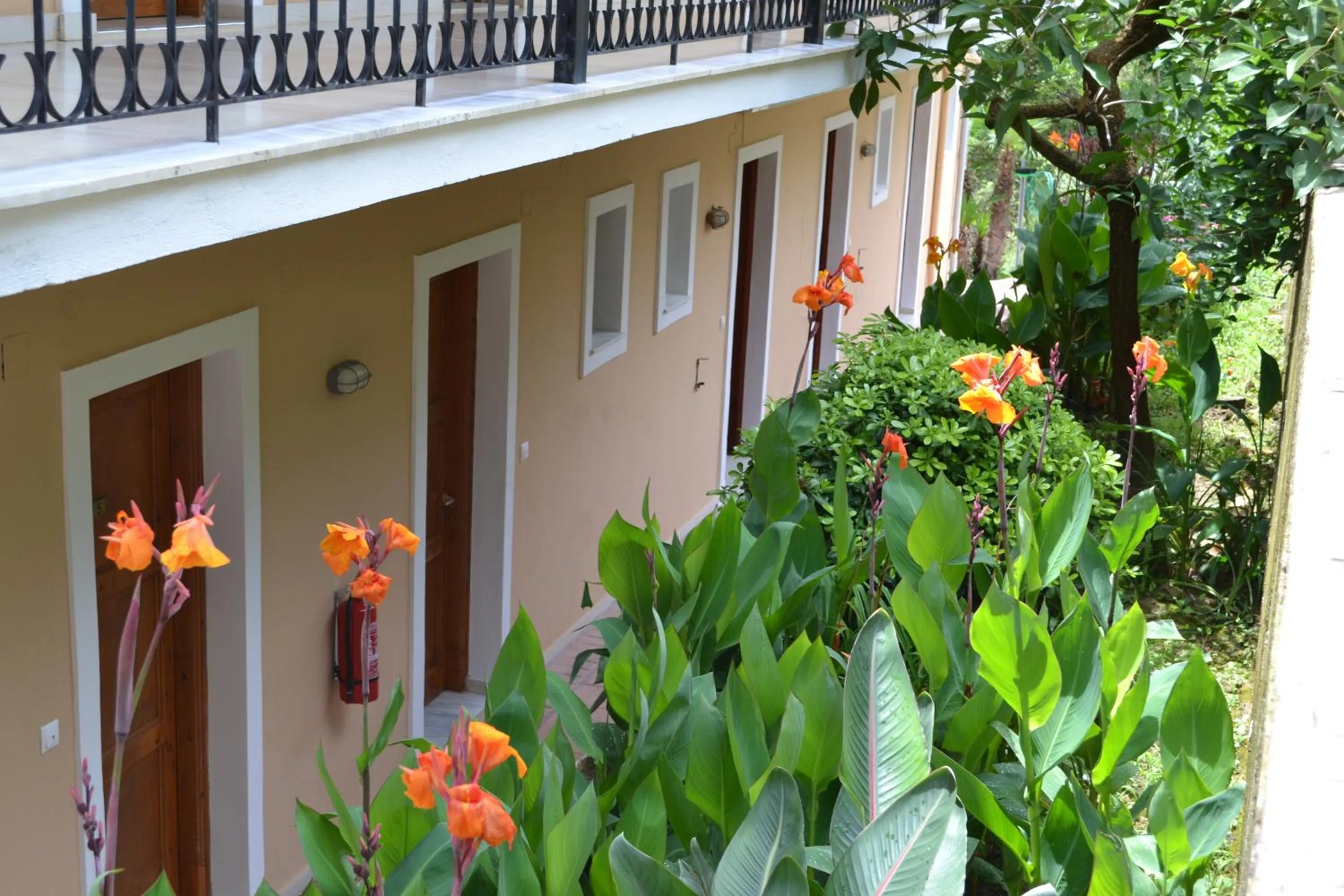 Photo of the whole room in Iliana Studios