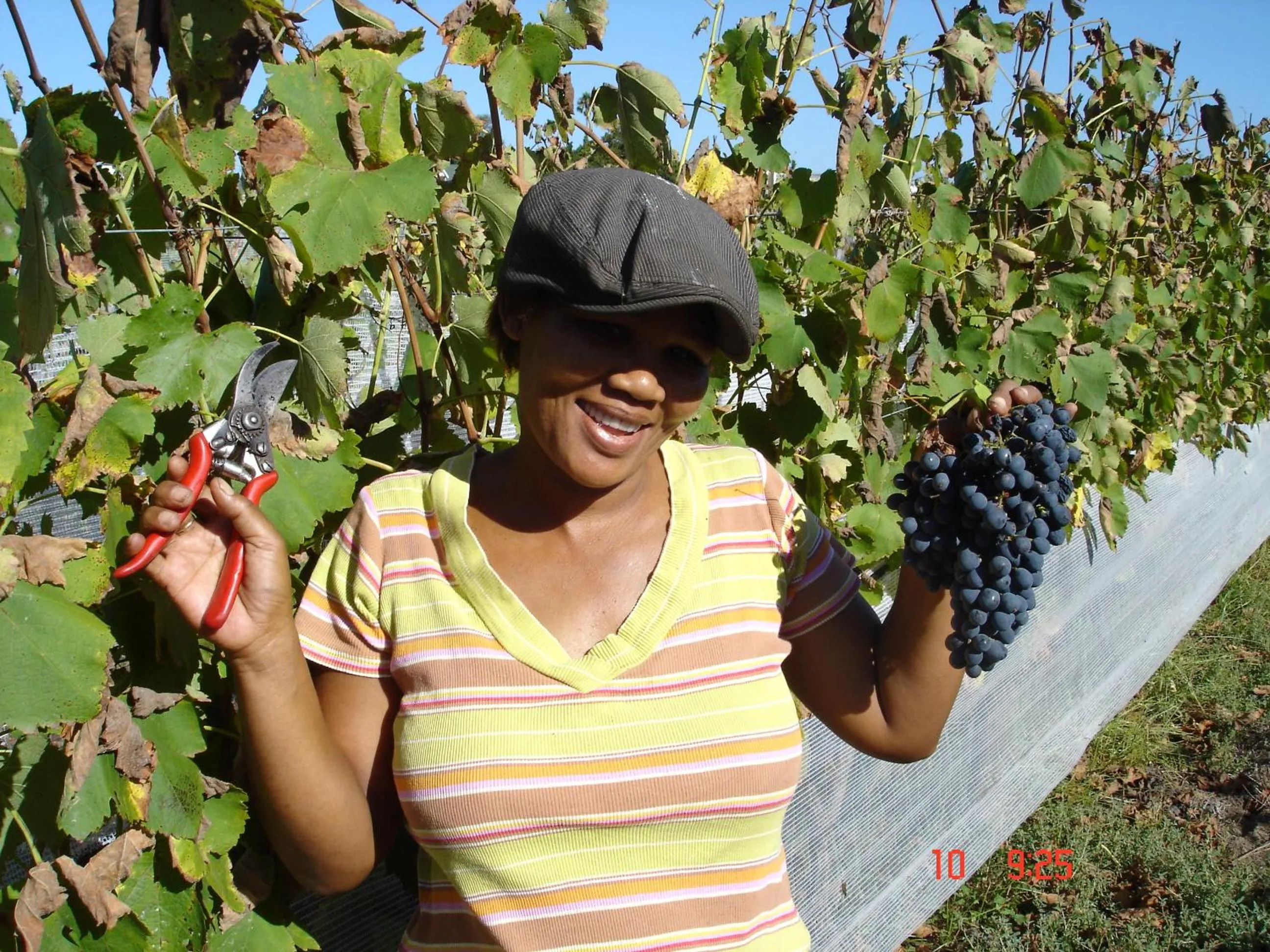 Seasons in De Doornkraal Vinotel
