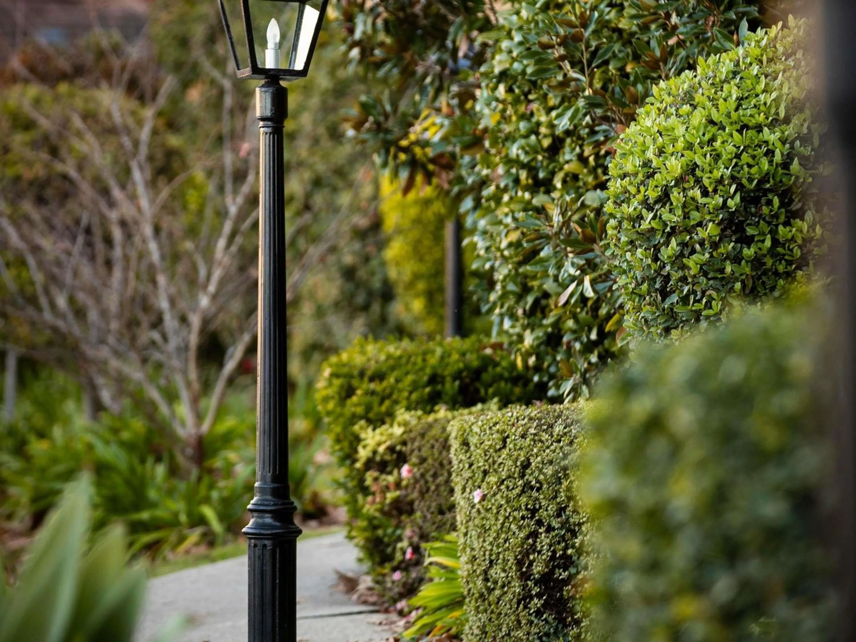 Property building in Peppers The Hills Lodge