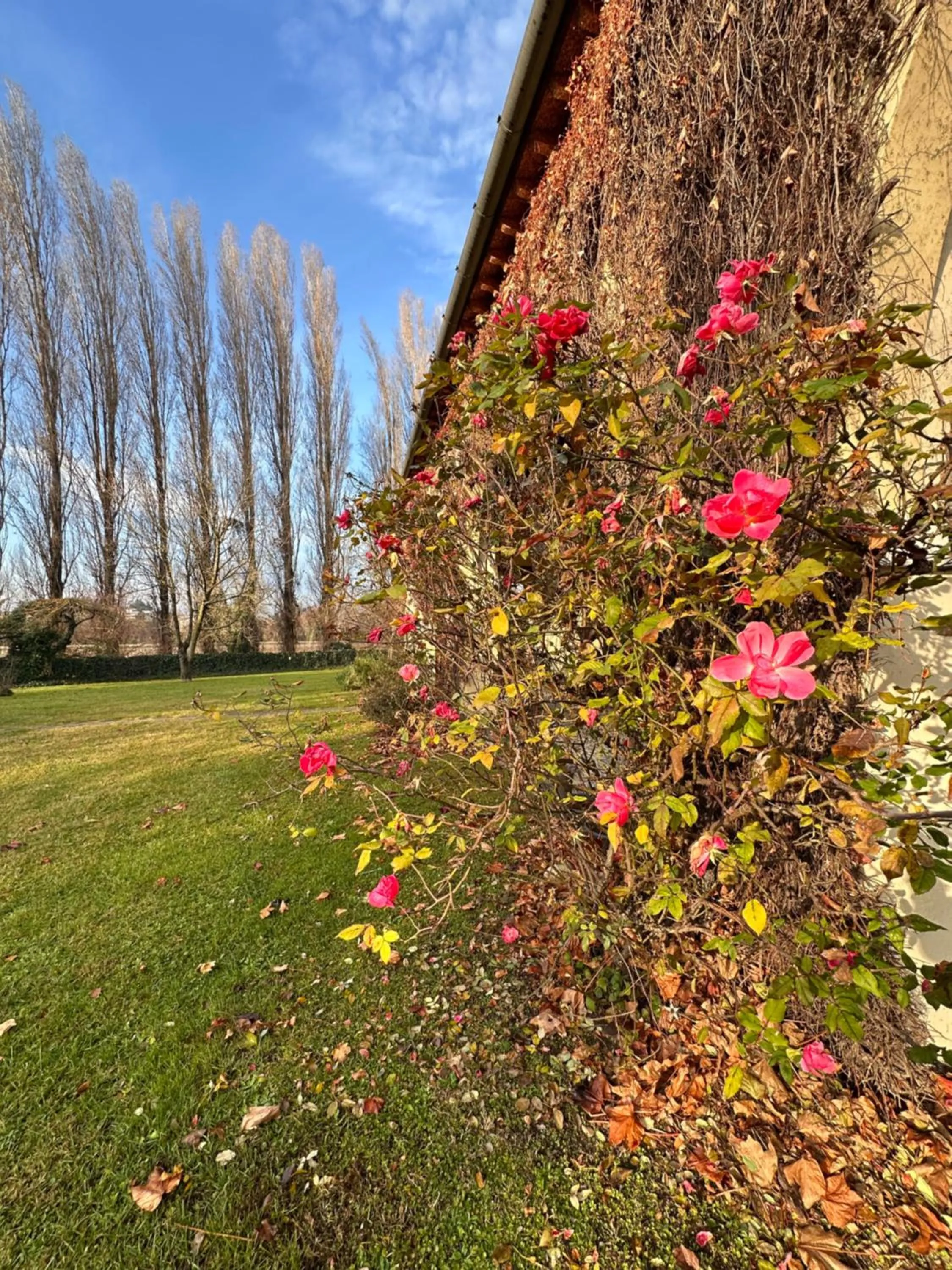 Garden in B&B Villa Gradenigo