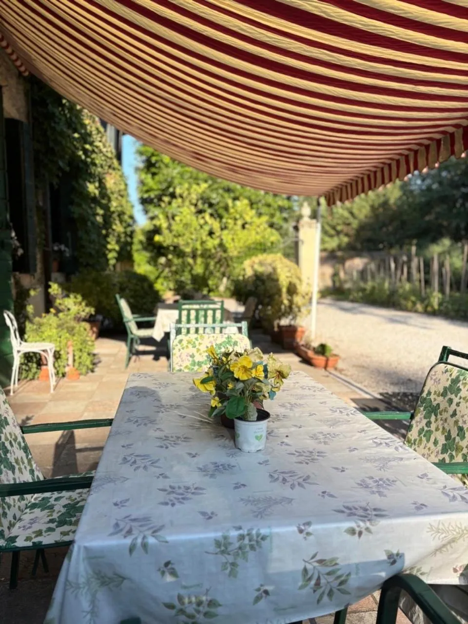 Garden in B&B Villa Gradenigo